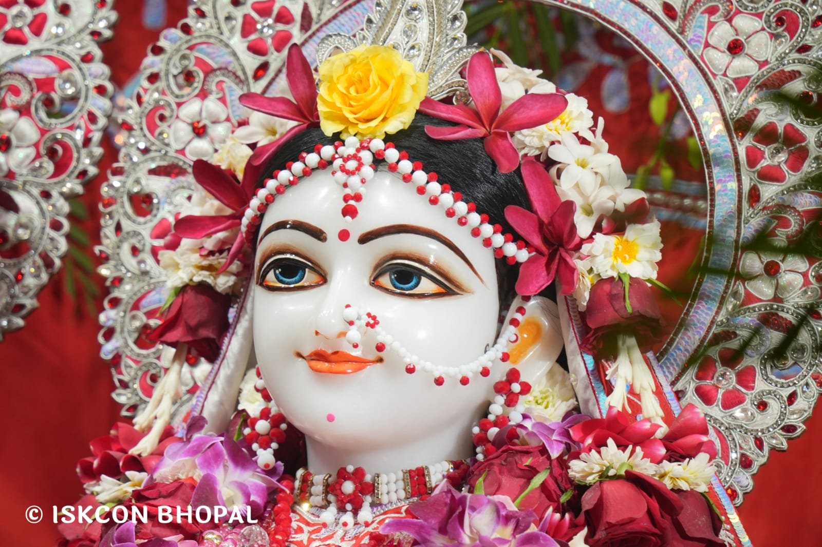 WhatsApp Image 2026-03-15 at 08.26.46