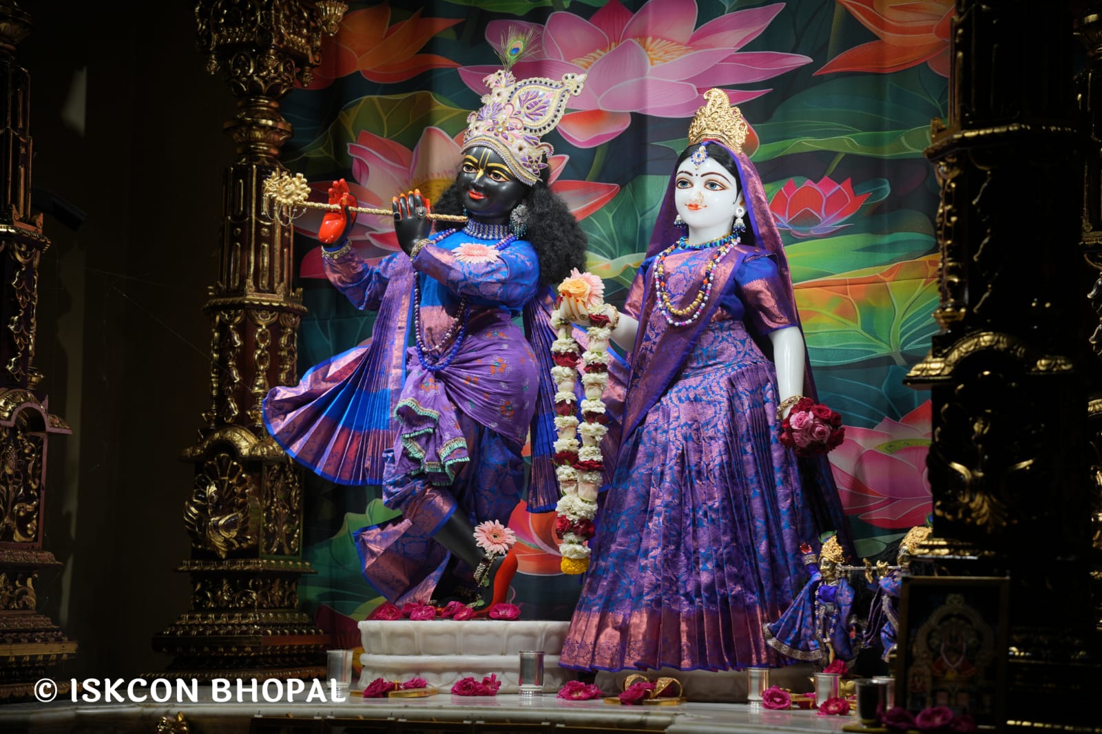 WhatsApp Image 2026-03-18 at 10.47.41