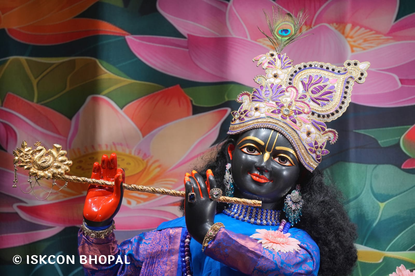 WhatsApp Image 2026-03-18 at 10.47.42 (1)