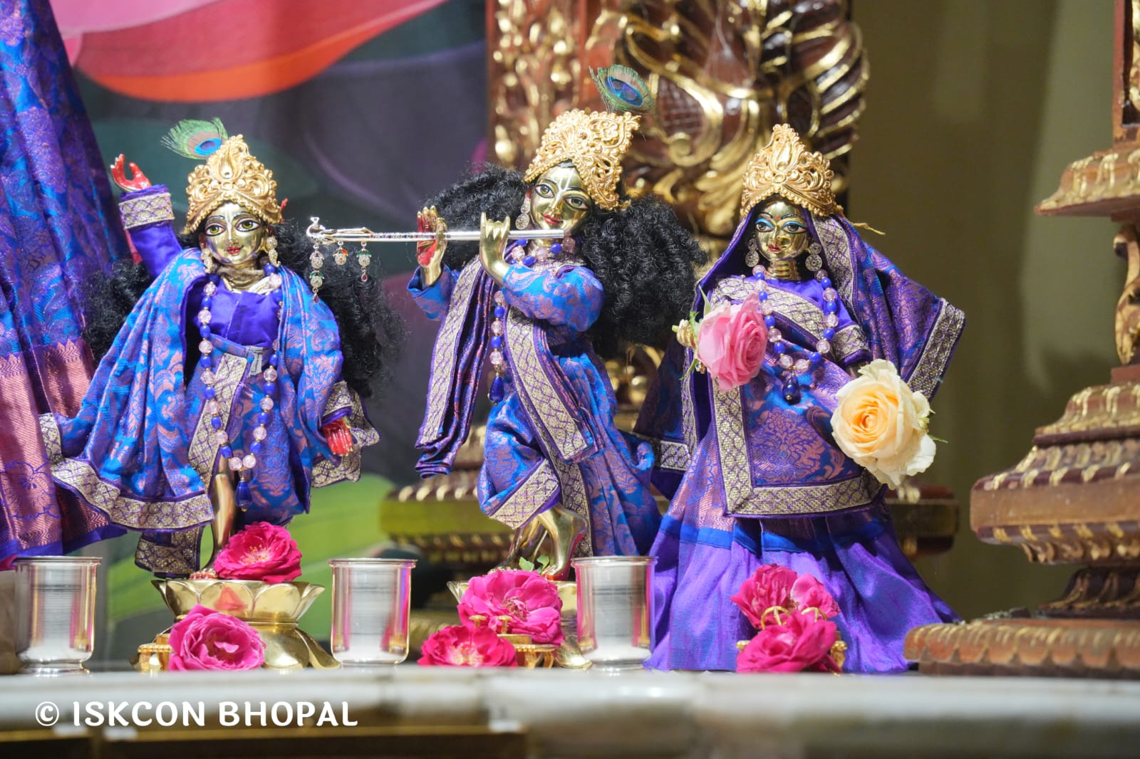 WhatsApp Image 2026-03-18 at 10.47.43 (1)