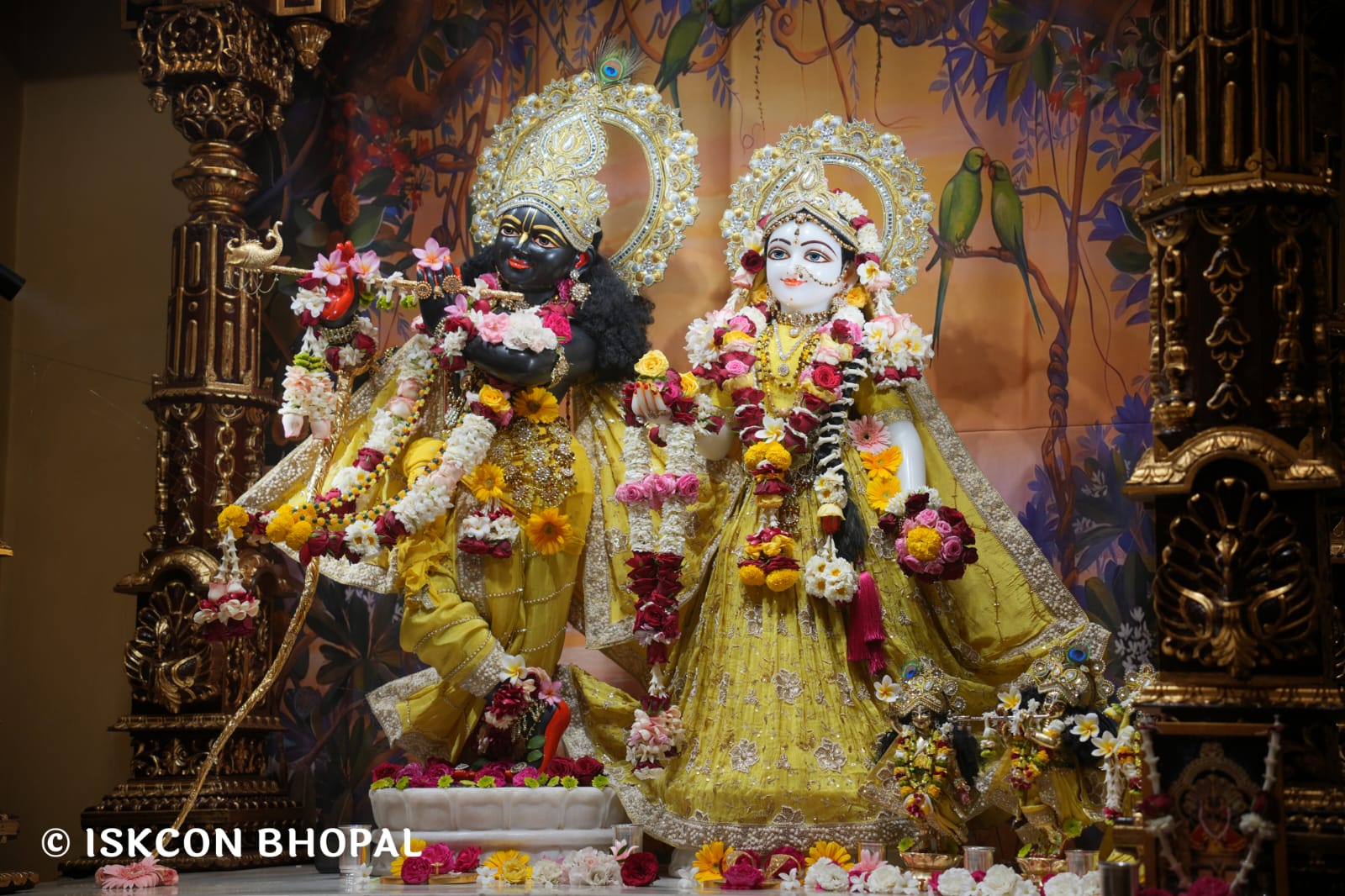 WhatsApp Image 2026-03-18 at 10.50.11