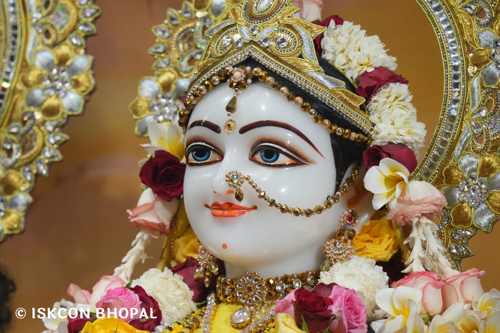 WhatsApp Image 2026-03-18 at 10.50.12 (1)