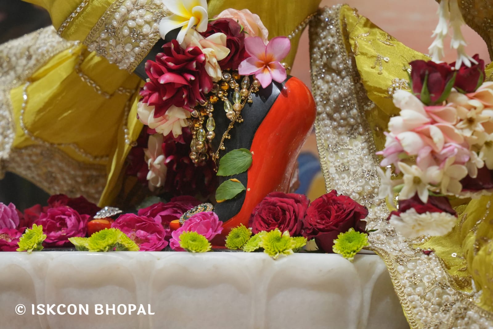 WhatsApp Image 2026-03-18 at 10.50.13 (1)