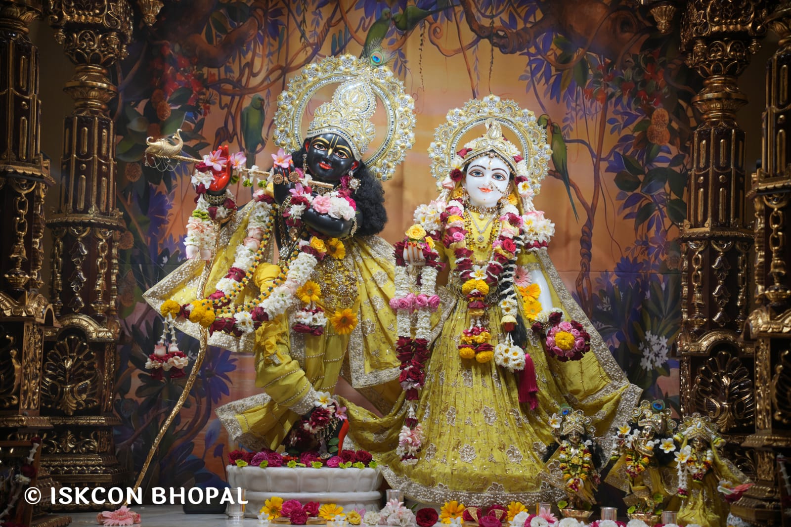 WhatsApp Image 2026-03-18 at 10.50.14 (1)