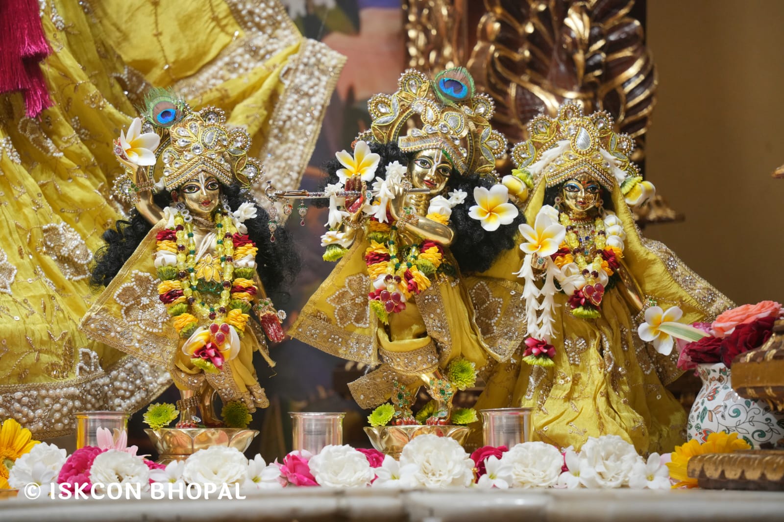 WhatsApp Image 2026-03-18 at 10.50.14