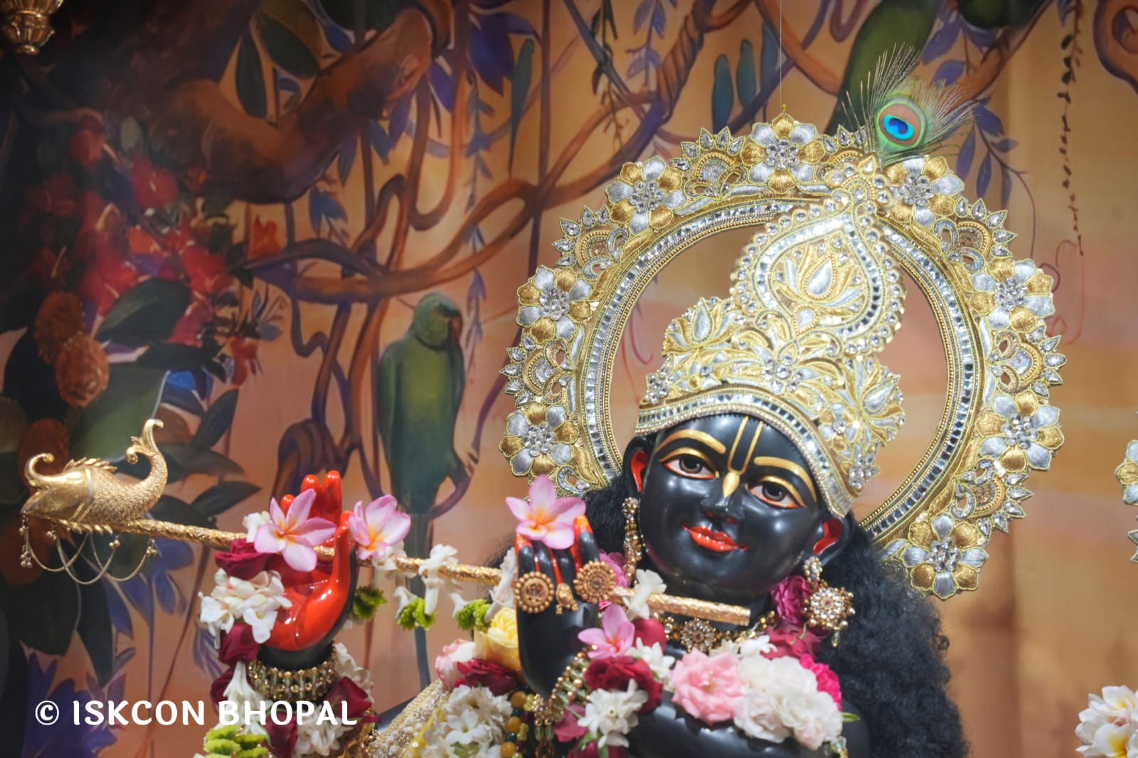 WhatsApp Image 2026-03-18 at 10.50.15 (1)