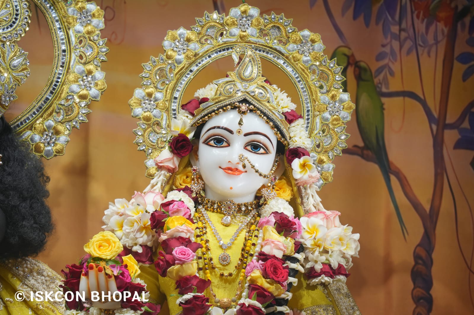 WhatsApp Image 2026-03-18 at 10.50.15