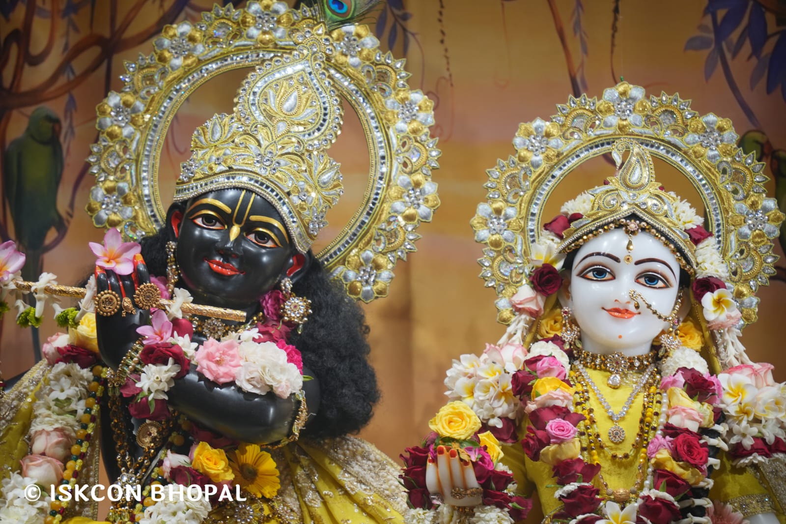 WhatsApp Image 2026-03-18 at 10.50.16