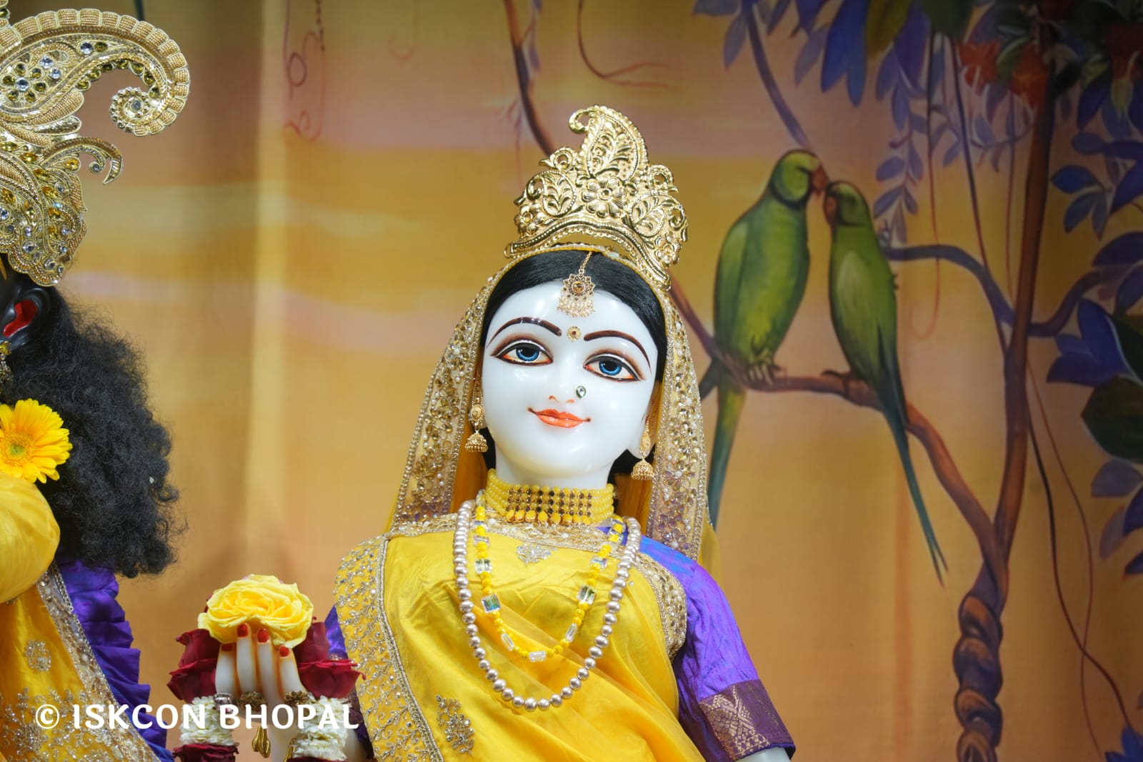 WhatsApp Image 2026-03-19 at 08.27.31 (1)