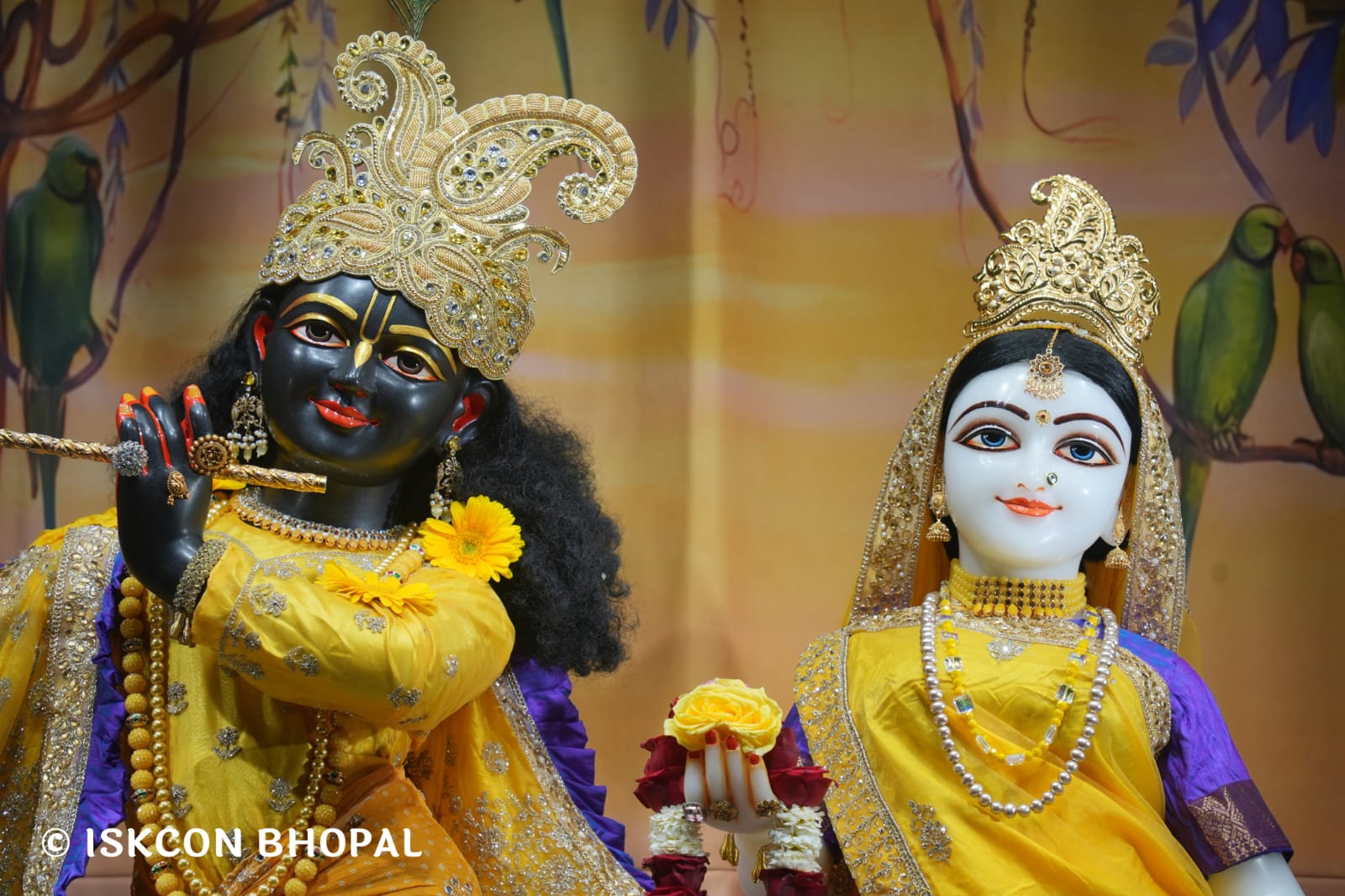 WhatsApp Image 2026-03-19 at 08.27.32 (1)