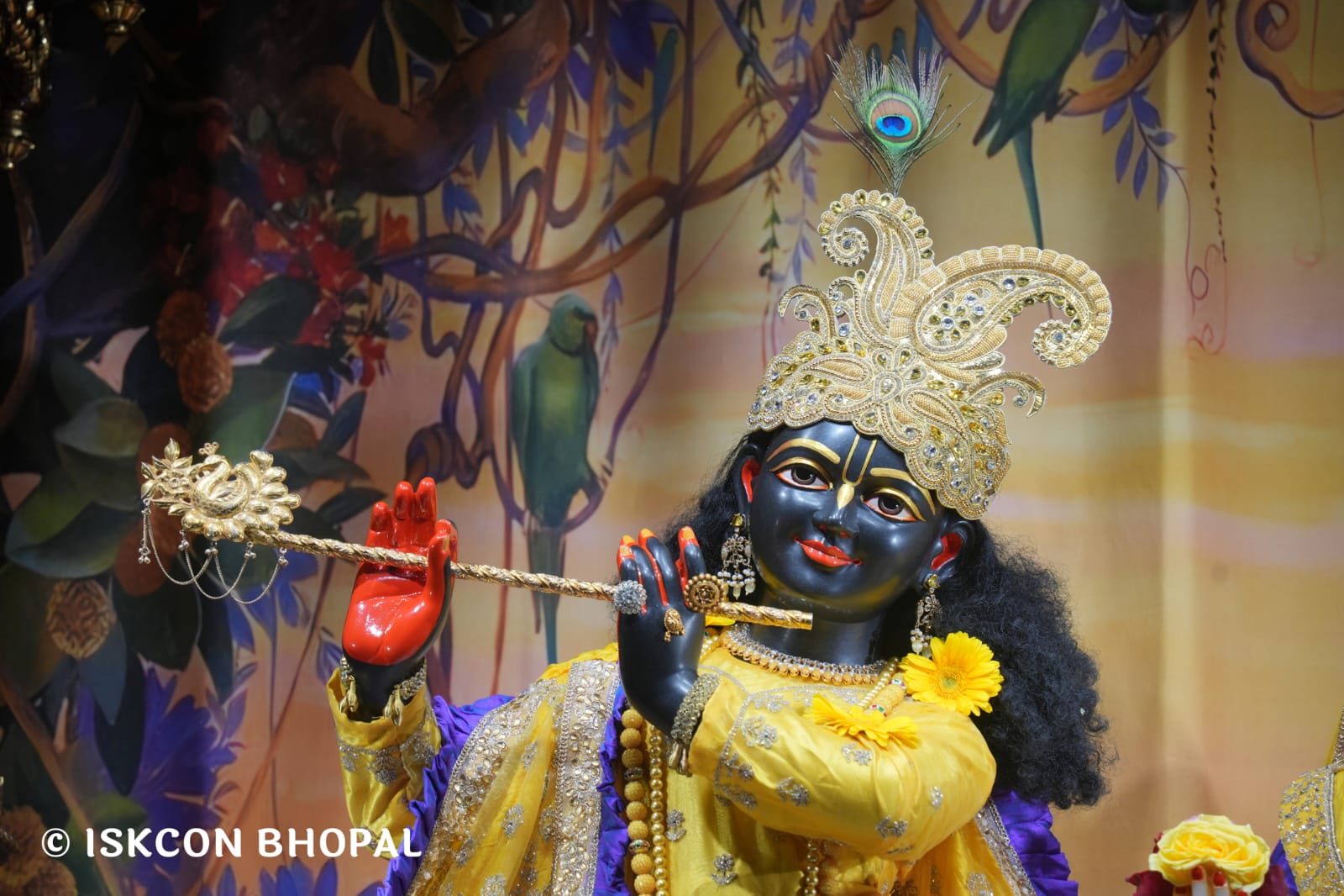 WhatsApp Image 2026-03-19 at 08.27.32