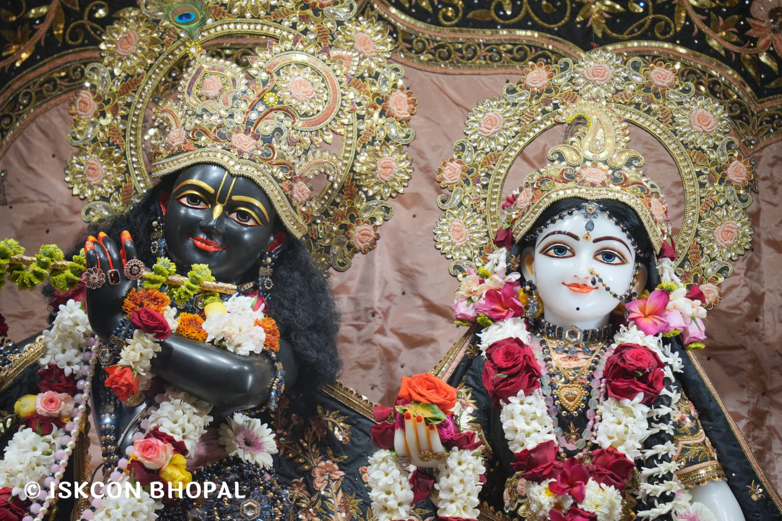 WhatsApp Image 2026-03-19 at 08.34.17