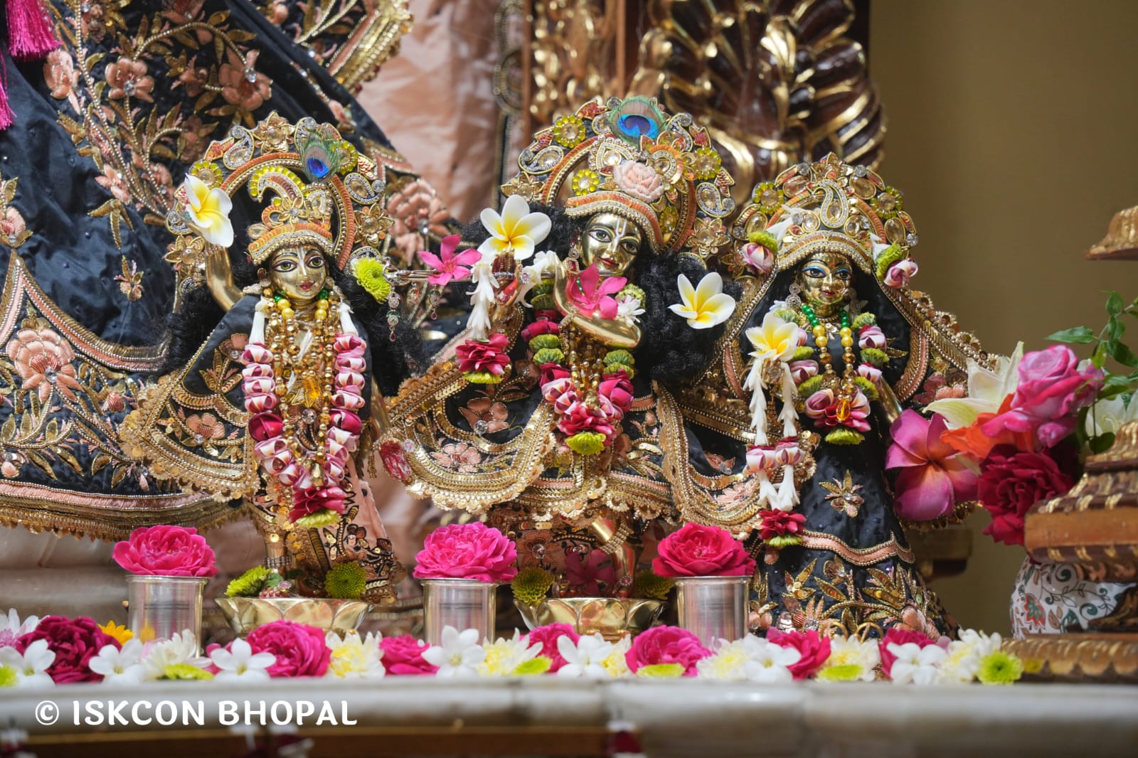 WhatsApp Image 2026-03-19 at 08.34.18