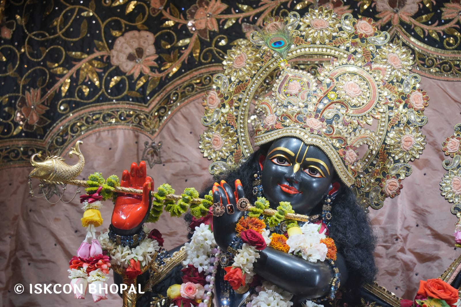 WhatsApp Image 2026-03-19 at 08.34.23 (1)