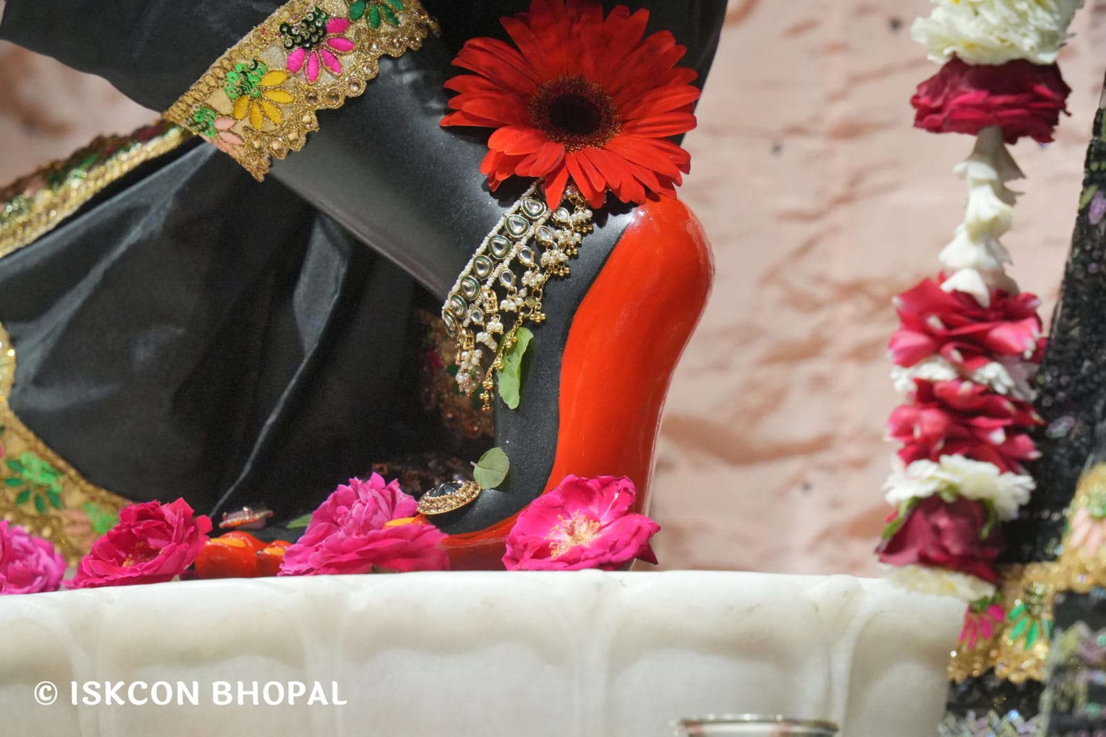 WhatsApp Image 2026-03-20 at 12.44.58