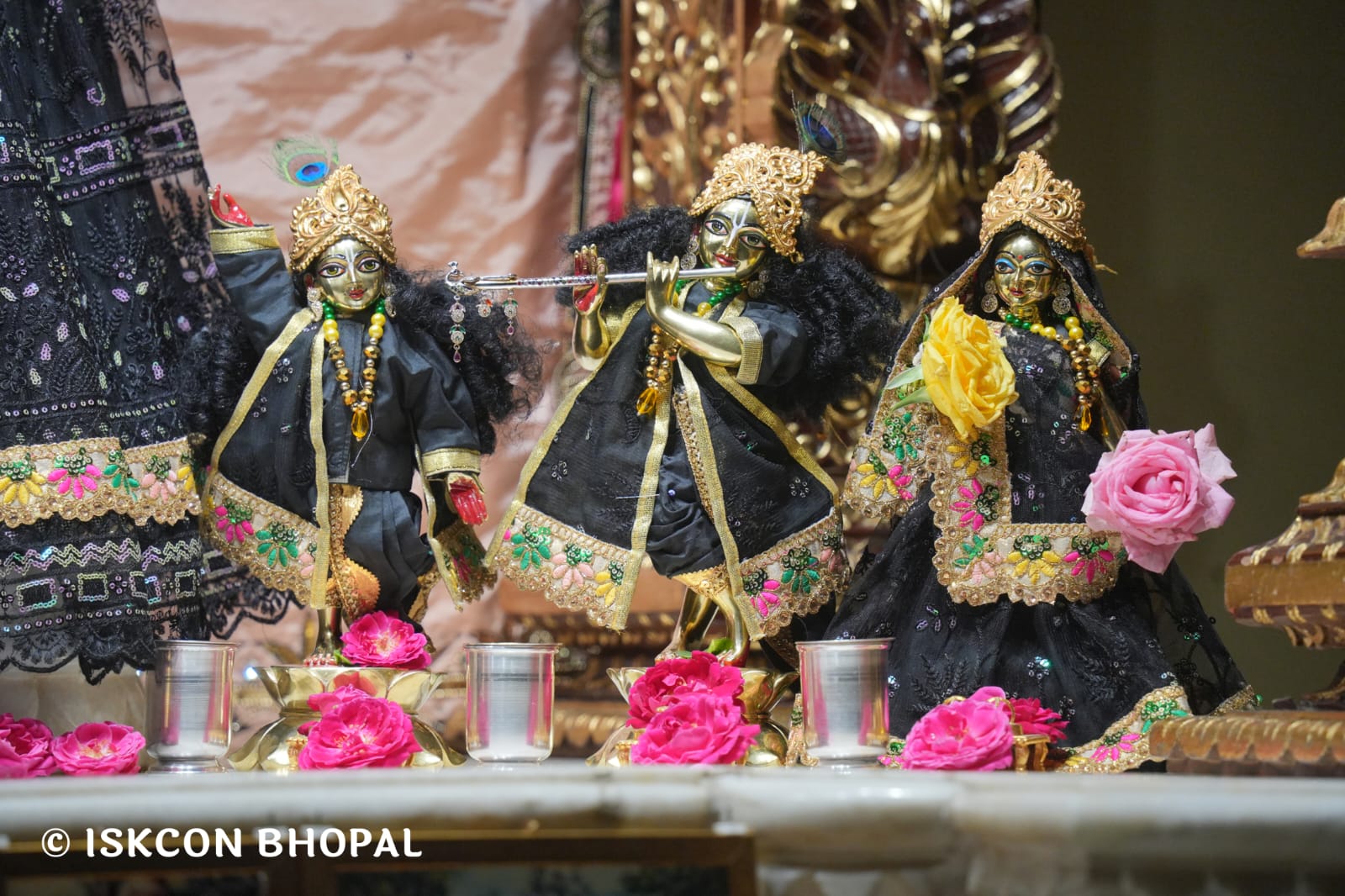 WhatsApp Image 2026-03-20 at 12.45.02 (2)