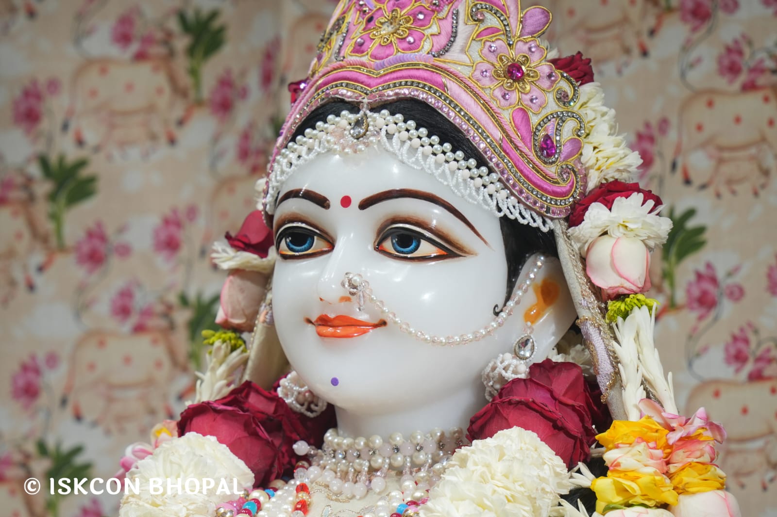 WhatsApp Image 2026-03-20 at 12.46.18