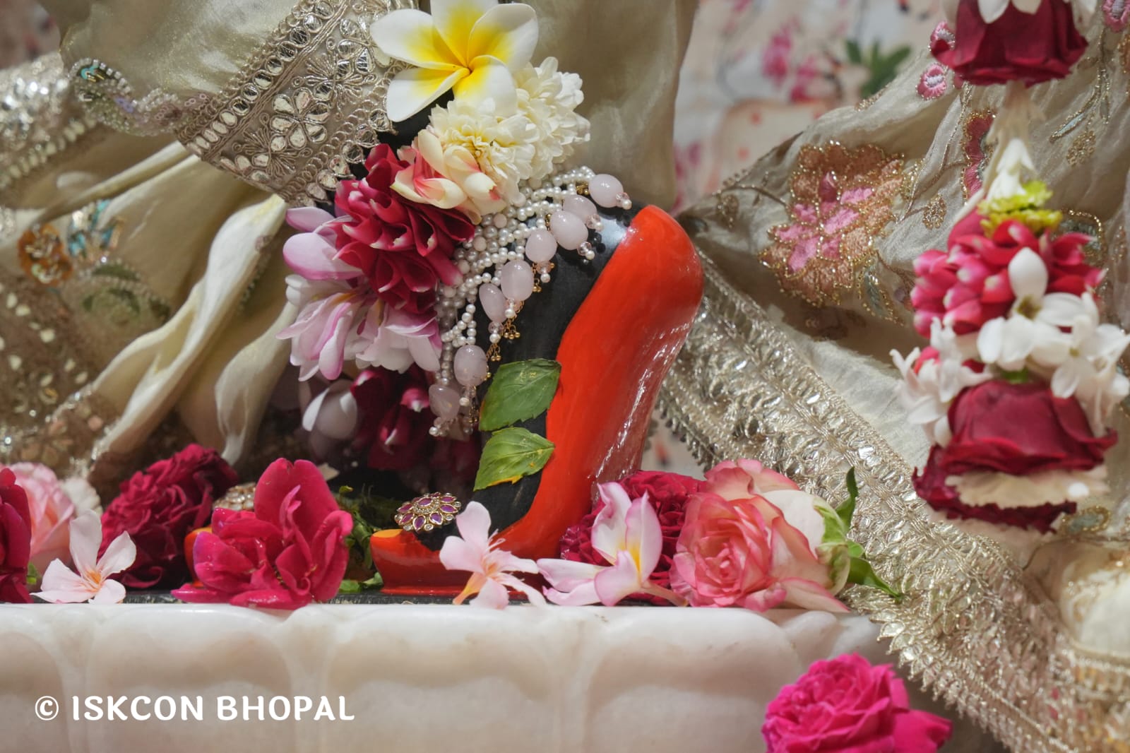 WhatsApp Image 2026-03-20 at 12.46.19 (1)