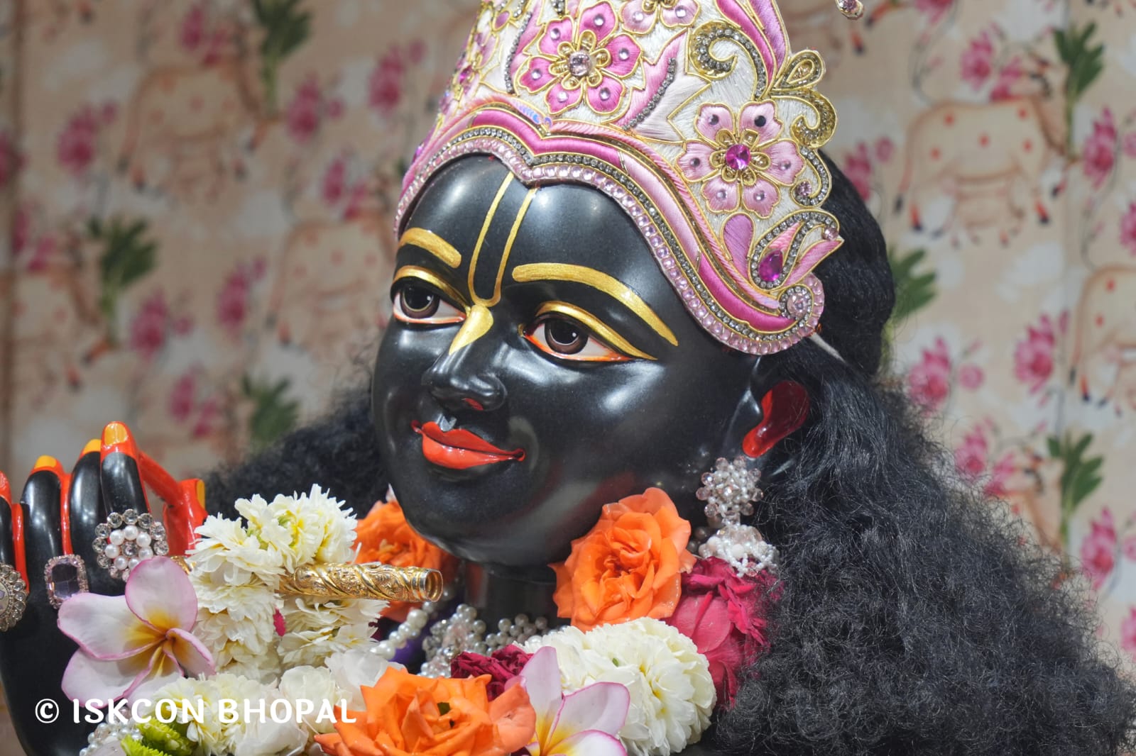 WhatsApp Image 2026-03-20 at 12.46.19