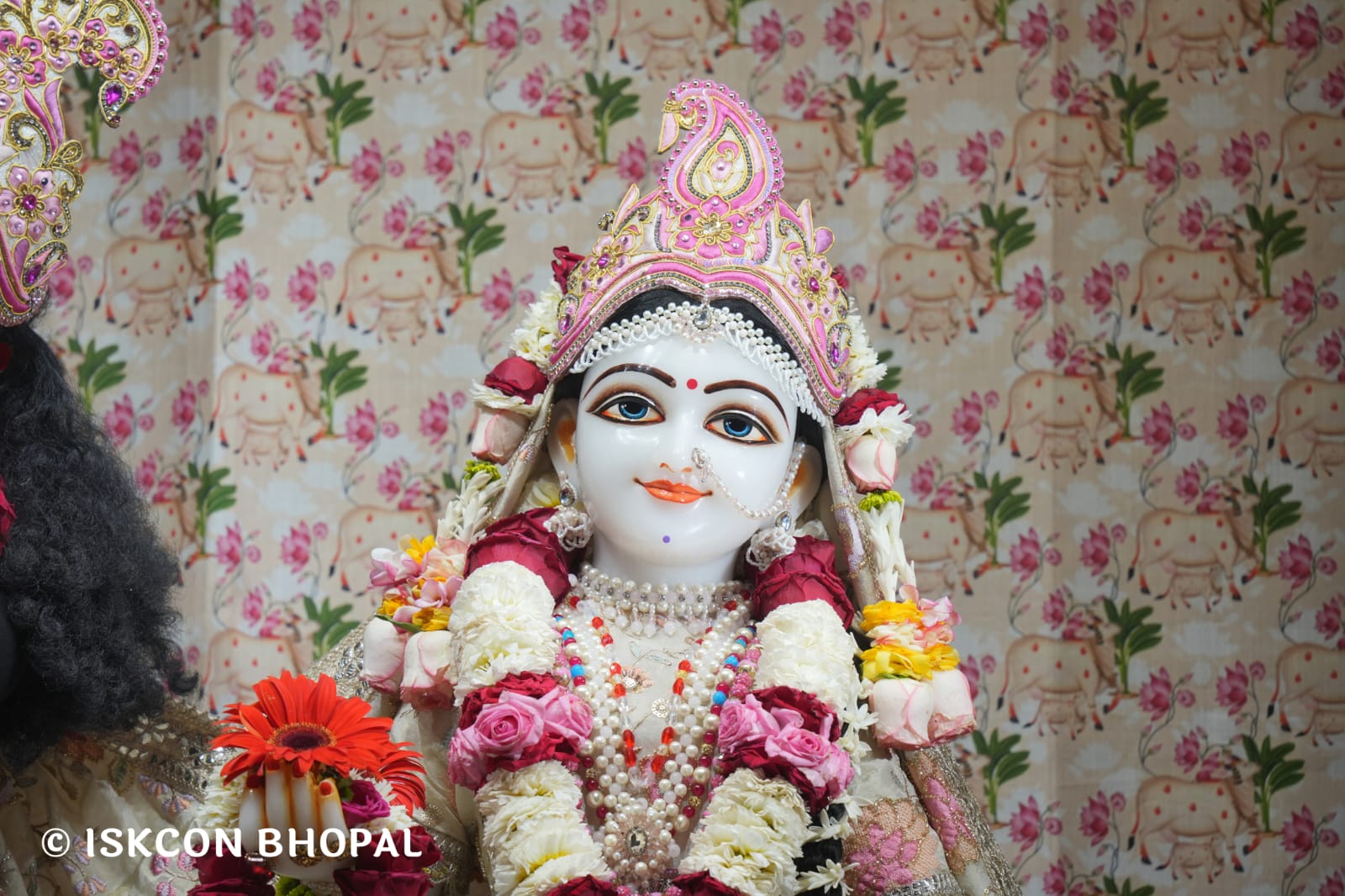 WhatsApp Image 2026-03-20 at 12.46.20 (1)