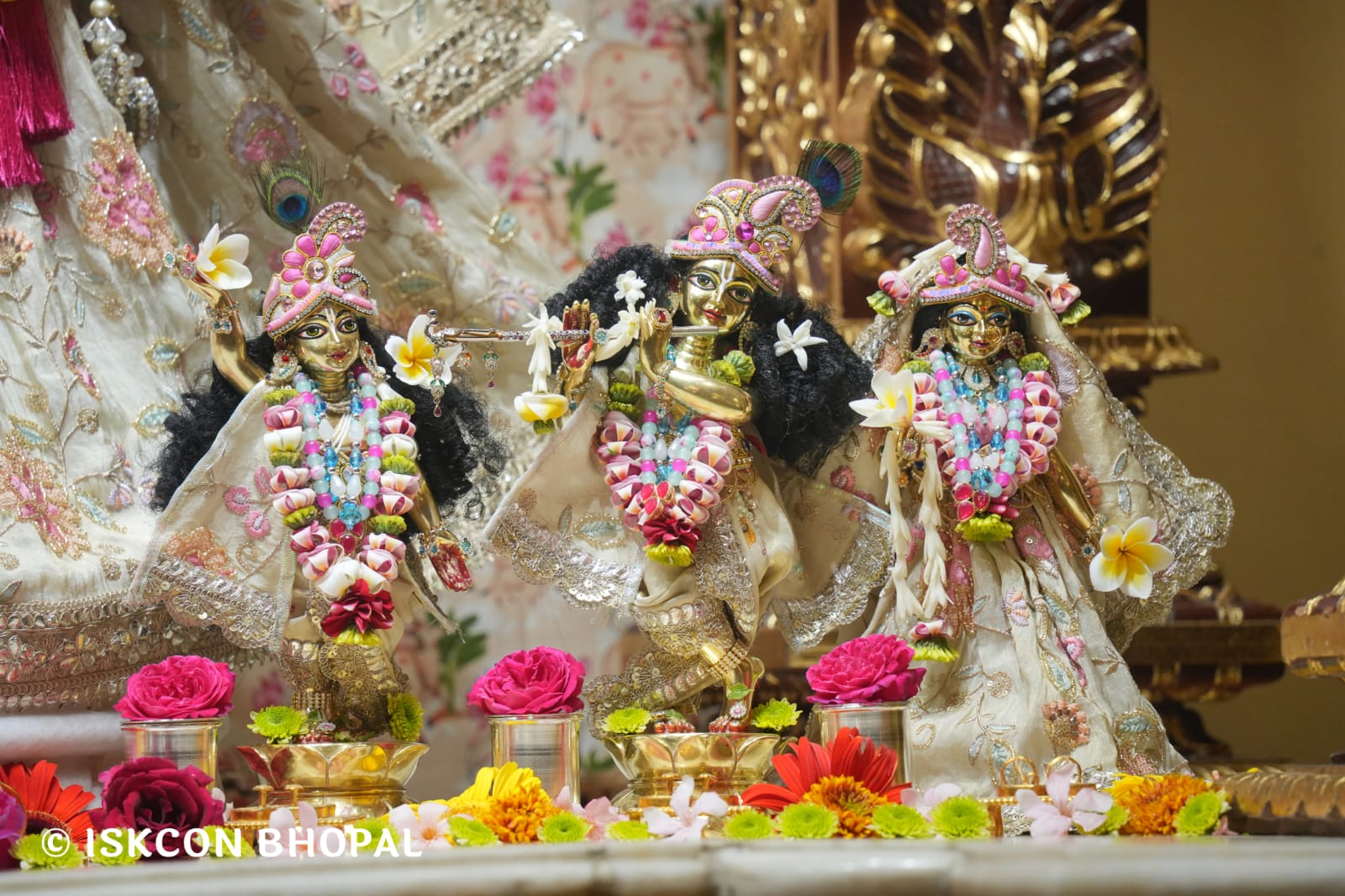 WhatsApp Image 2026-03-20 at 12.46.20