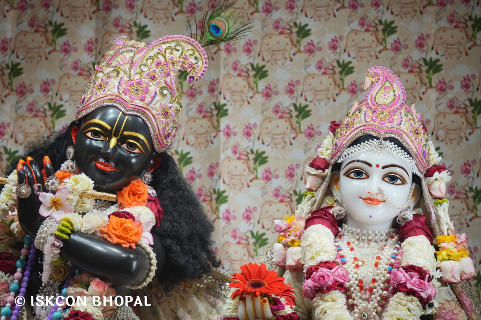 WhatsApp Image 2026-03-20 at 12.46.21 (1)