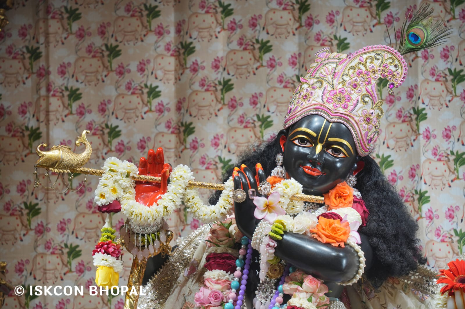 WhatsApp Image 2026-03-20 at 12.46.21