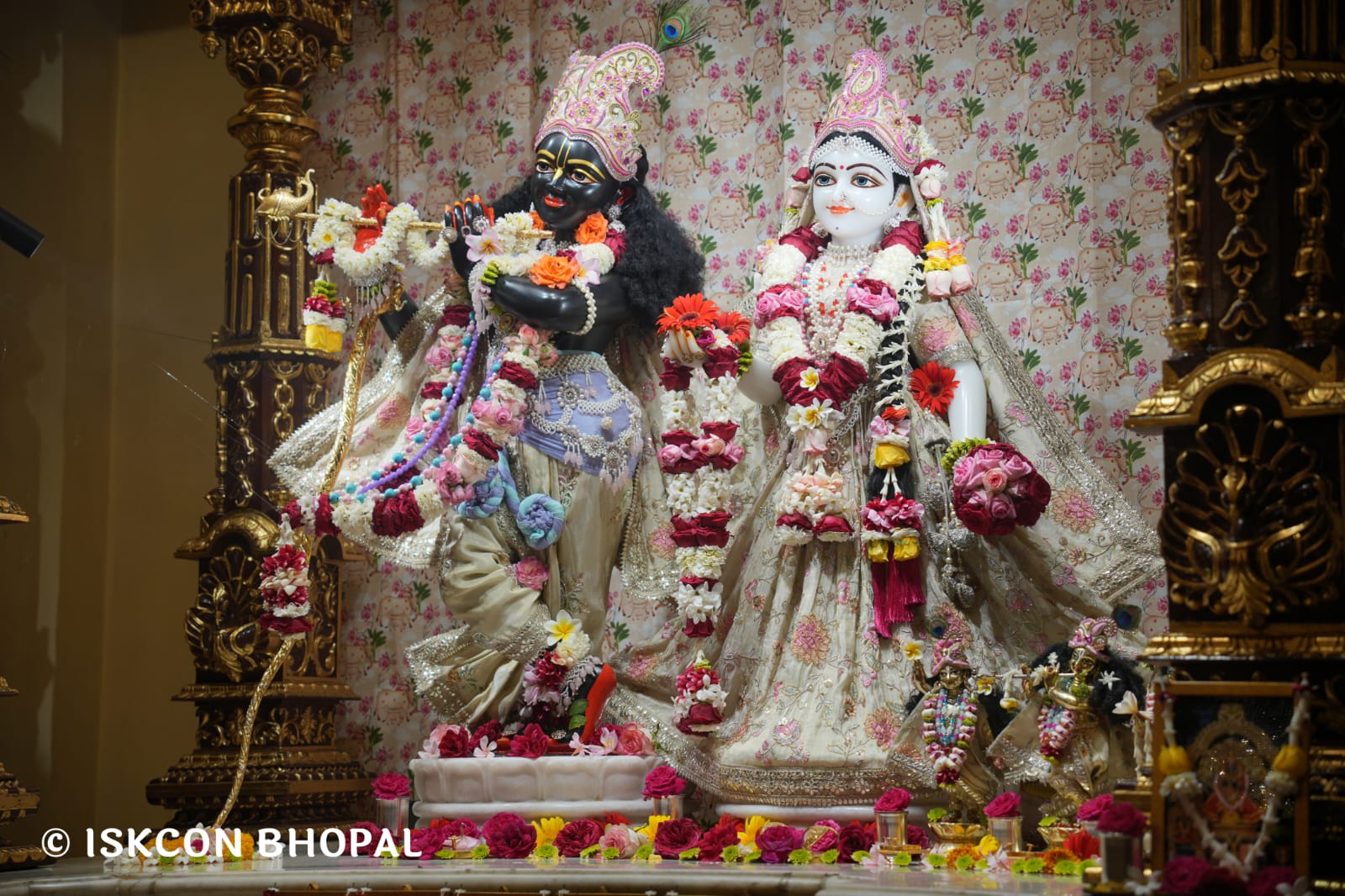 WhatsApp Image 2026-03-20 at 12.46.24