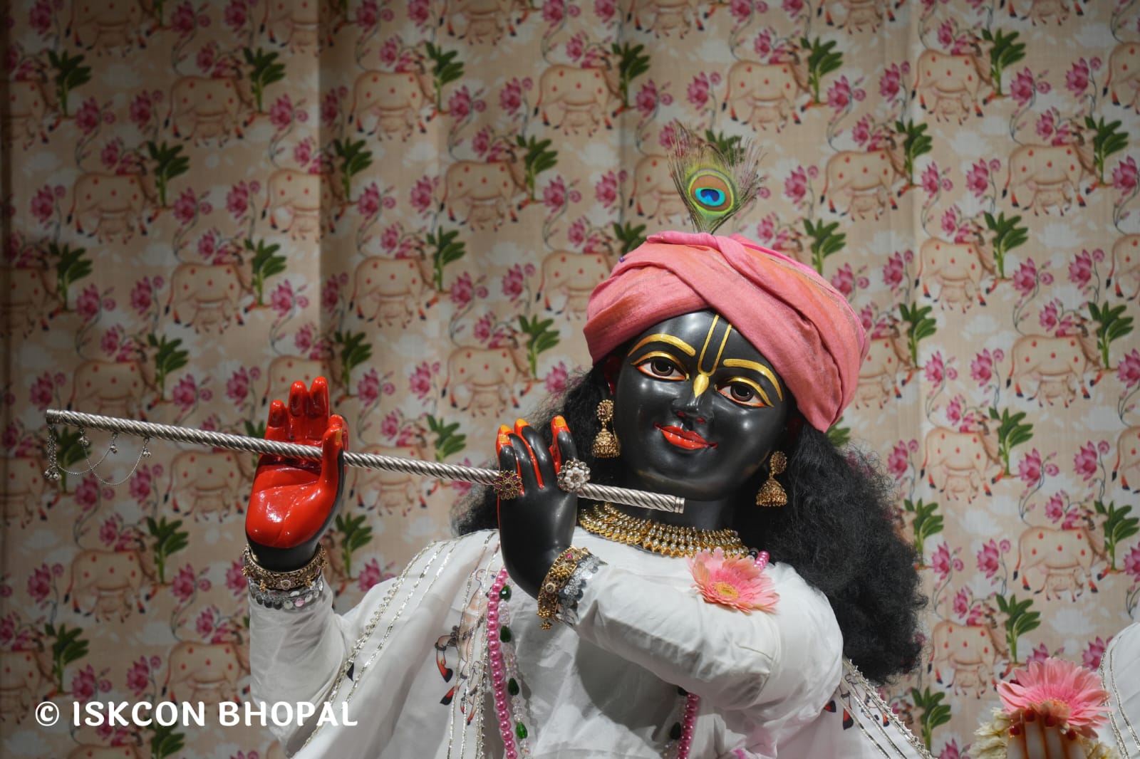 WhatsApp Image 2026-03-21 at 08.51.00 (1)