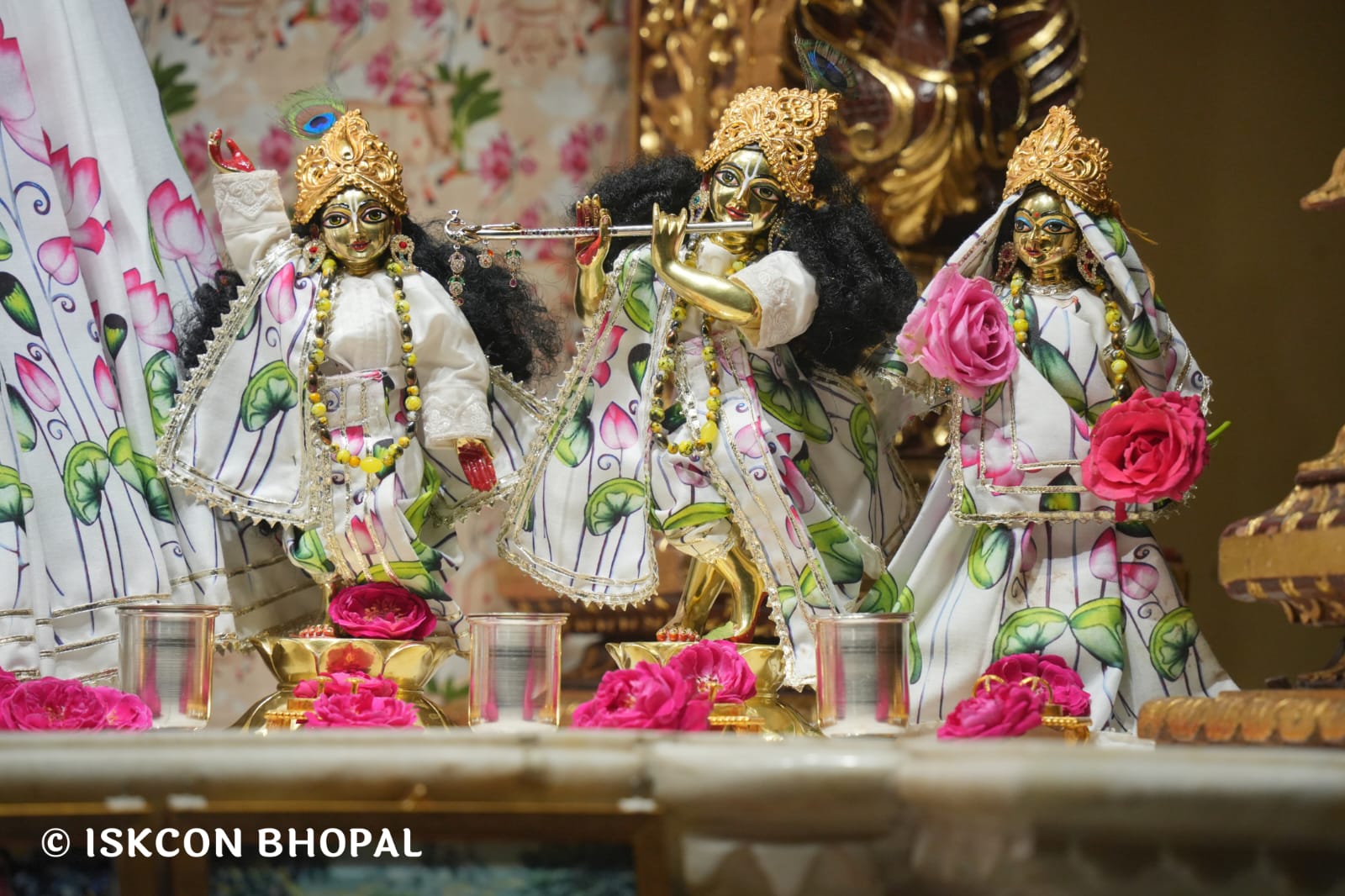 WhatsApp Image 2026-03-21 at 08.51.01 (1)