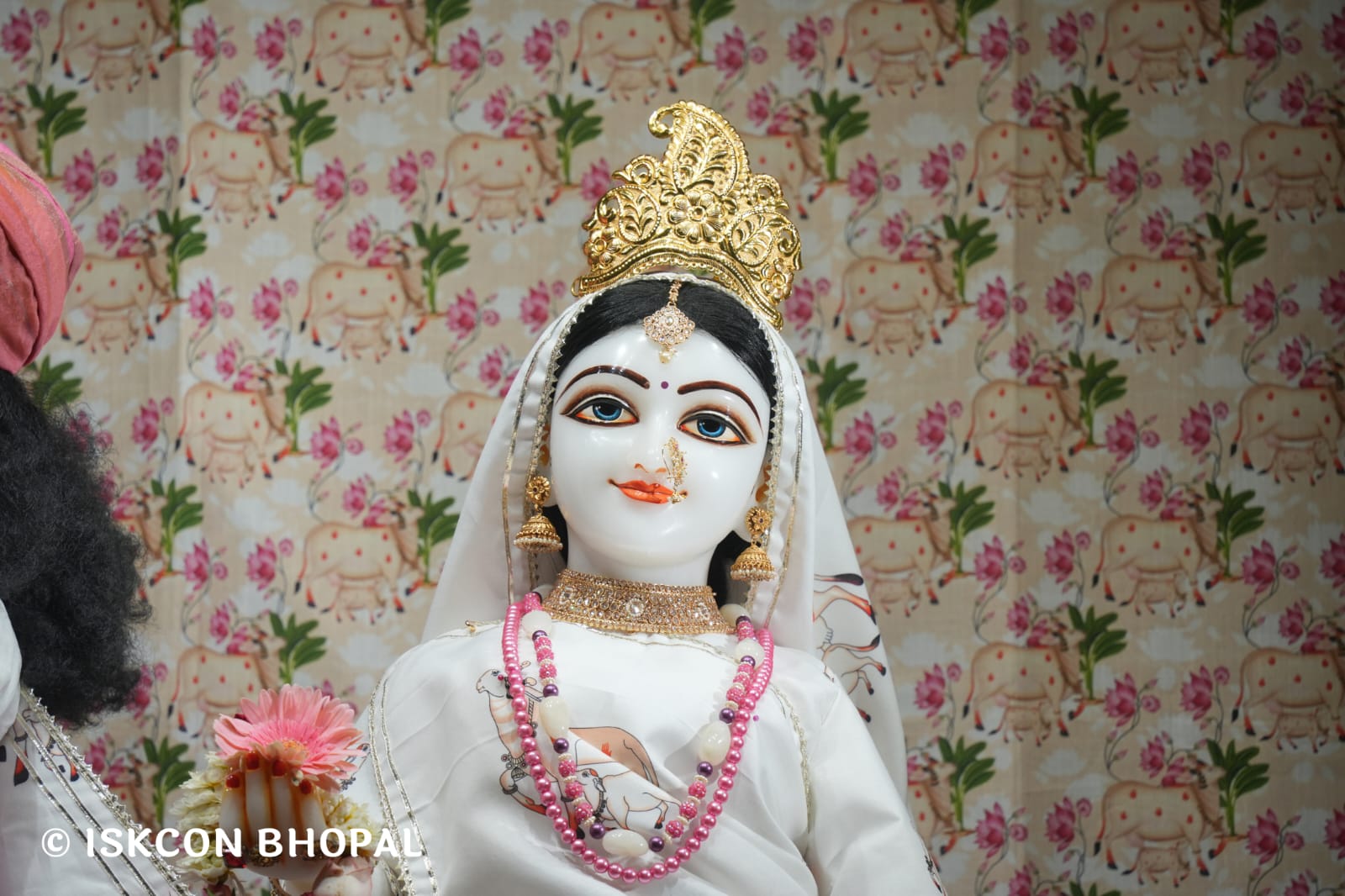 WhatsApp Image 2026-03-21 at 08.51.01