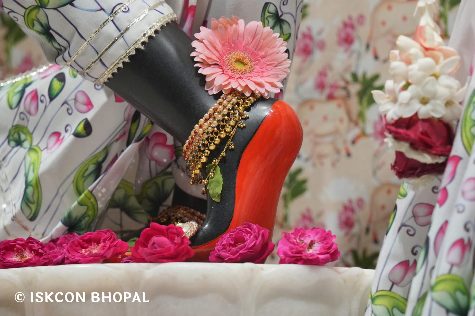 WhatsApp Image 2026-03-21 at 08.51.02 (1)