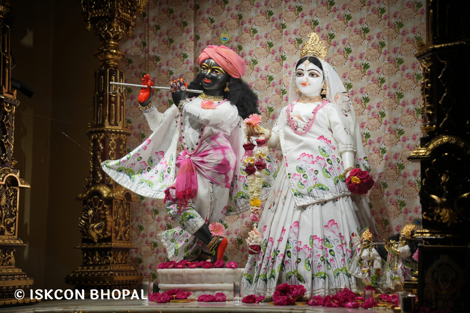 WhatsApp Image 2026-03-21 at 08.51.03 (1)