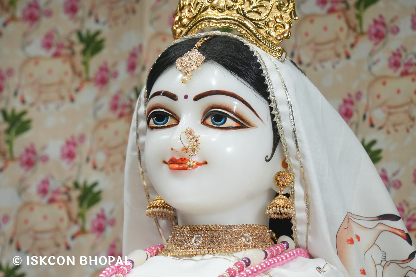 WhatsApp Image 2026-03-21 at 08.51.04 (1)