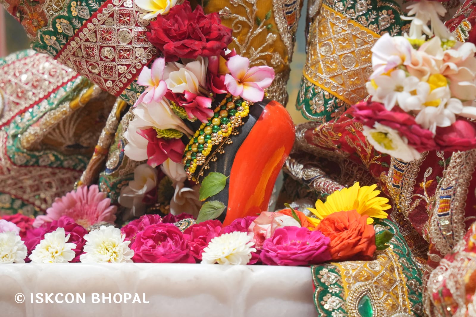 WhatsApp Image 2026-03-21 at 08.53.12