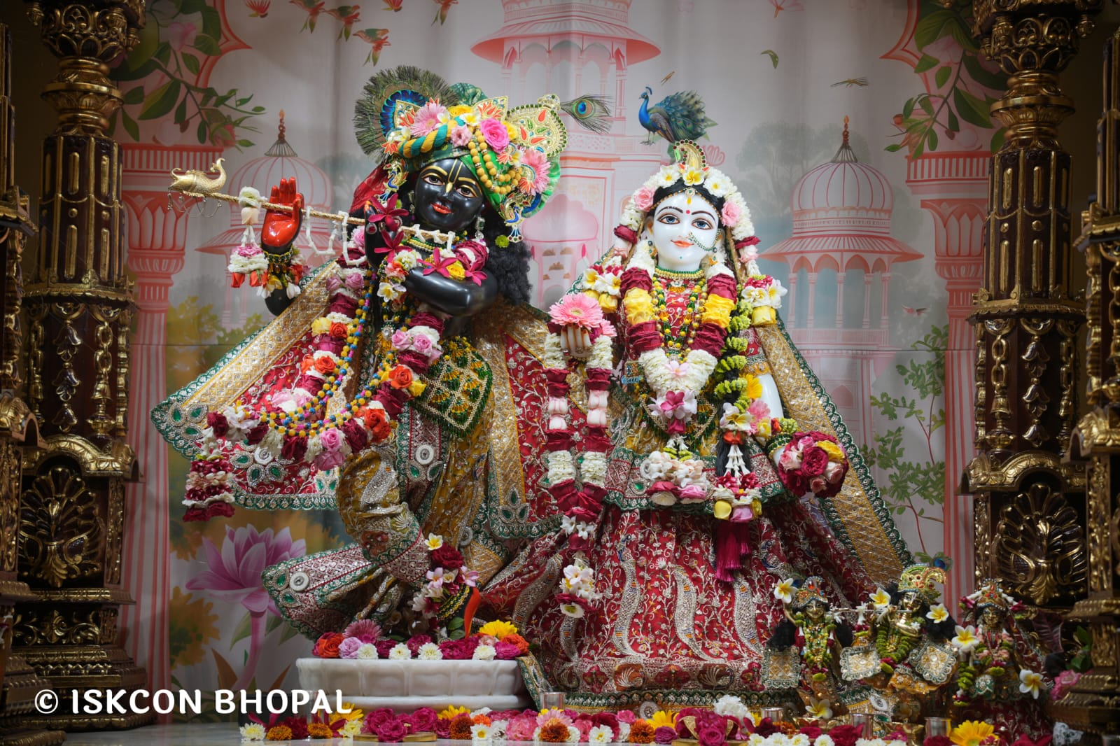 WhatsApp Image 2026-03-21 at 08.53.13