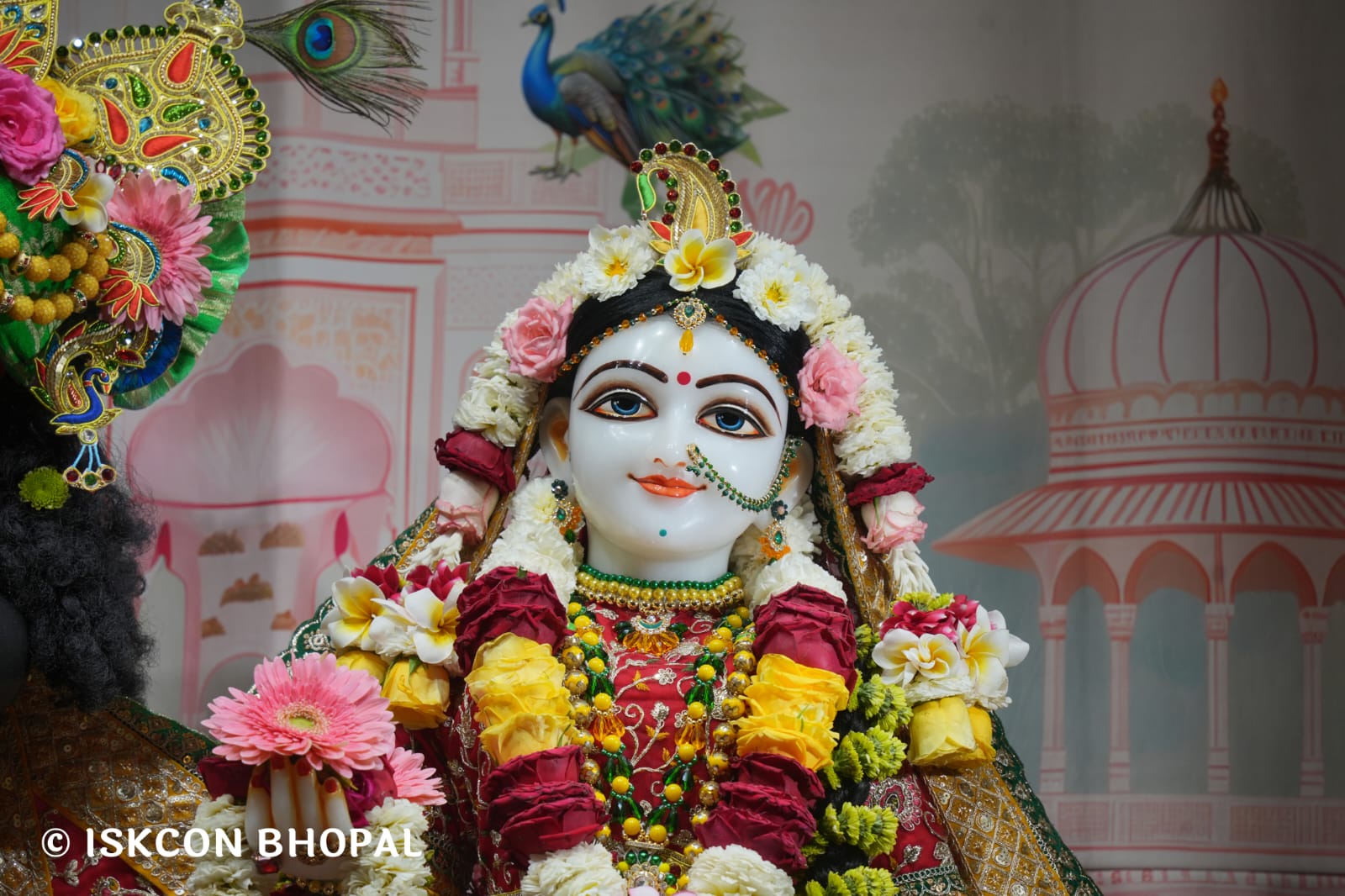 WhatsApp Image 2026-03-21 at 08.53.14