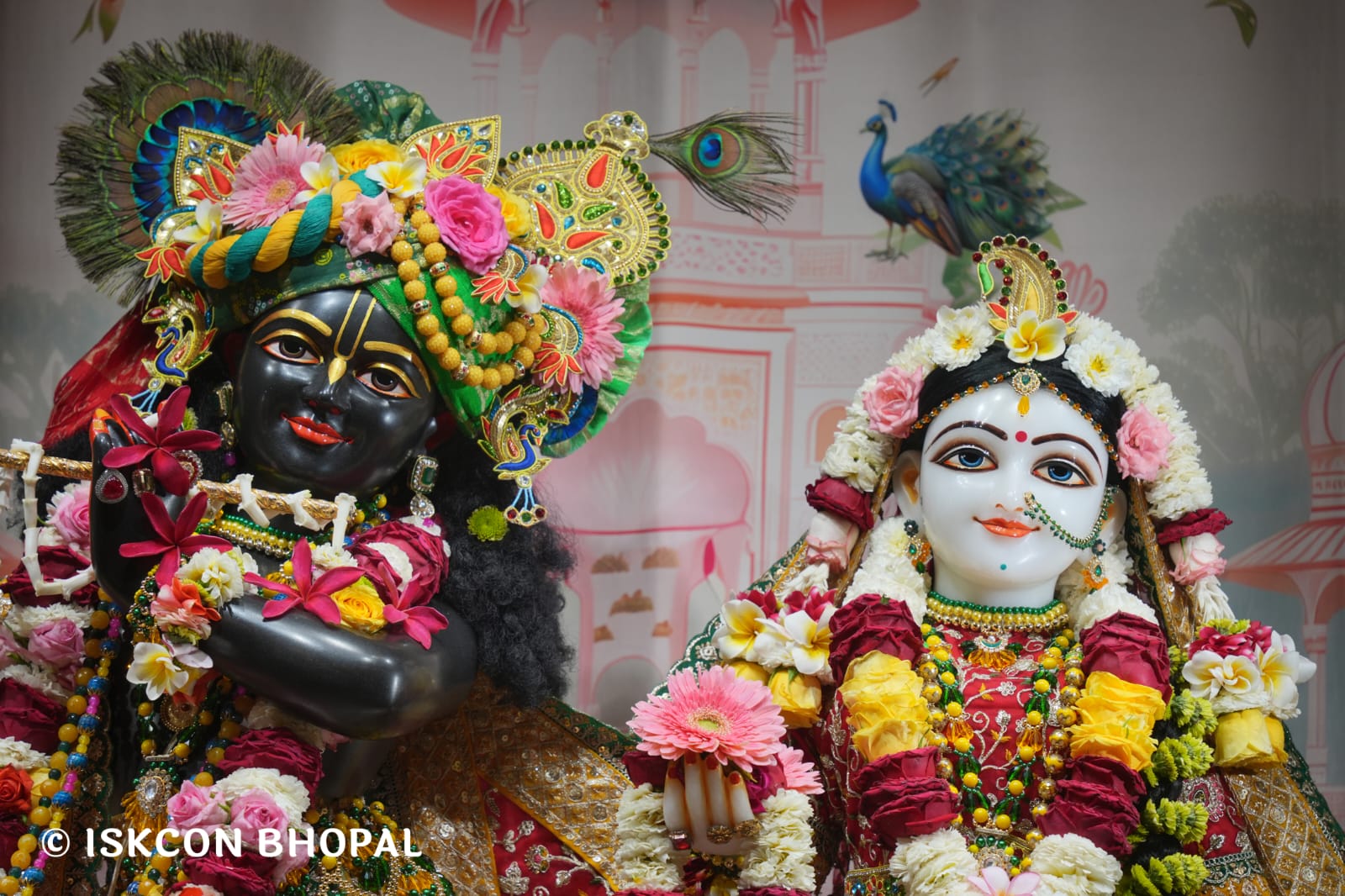 WhatsApp Image 2026-03-21 at 08.53.15