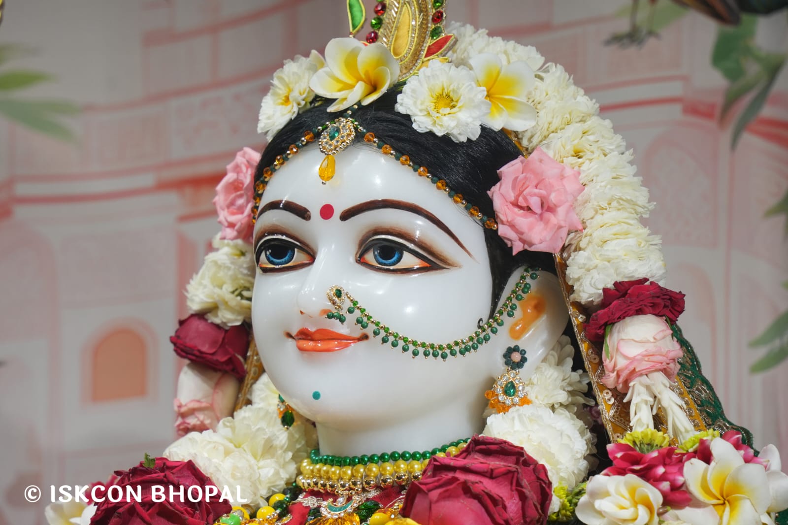 WhatsApp Image 2026-03-21 at 08.53.17 (1)