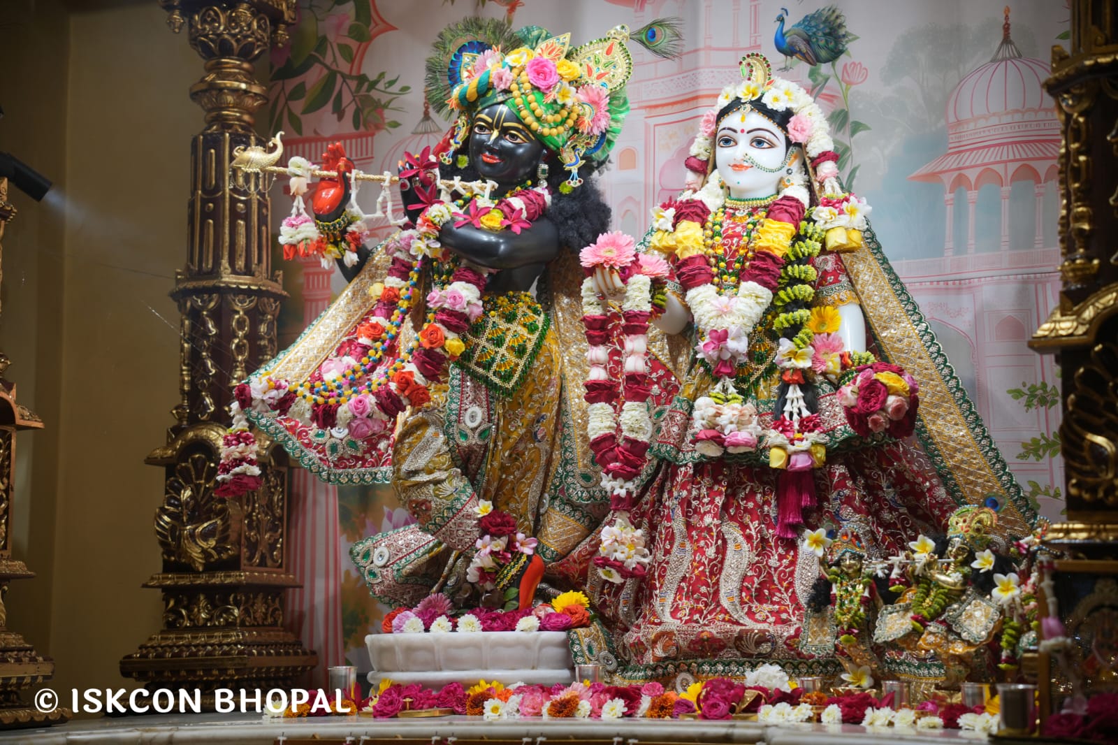 WhatsApp Image 2026-03-21 at 08.53.17