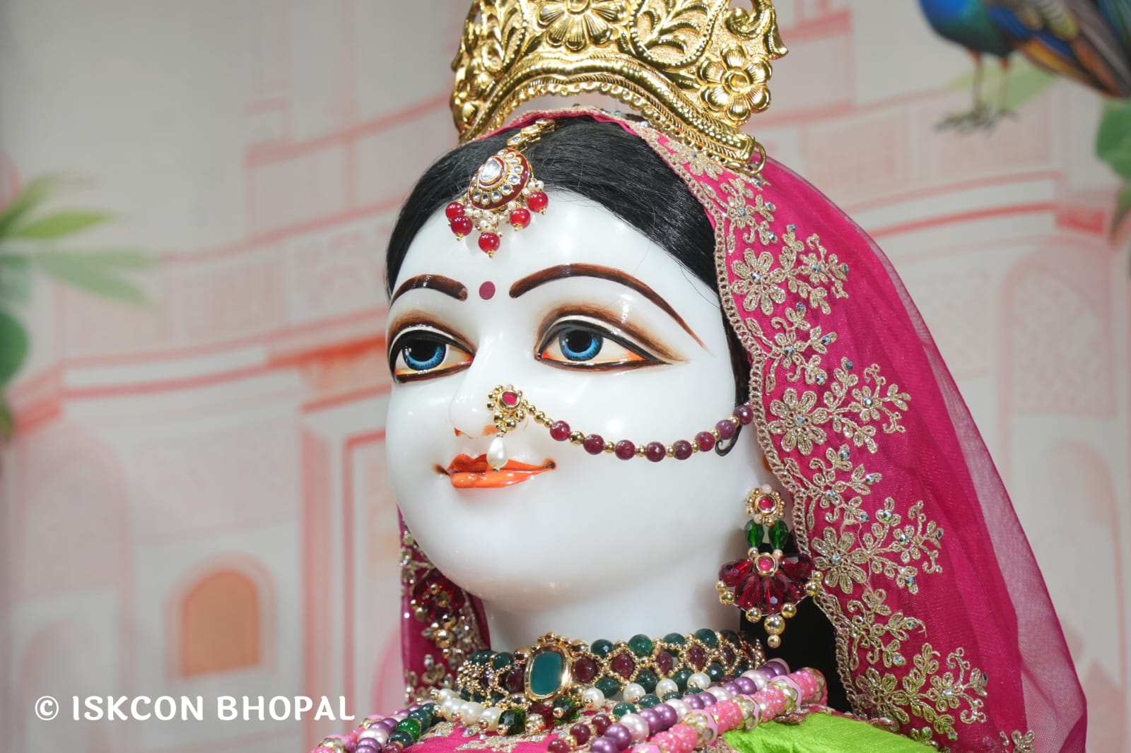 WhatsApp Image 2026-03-22 at 13.43.41