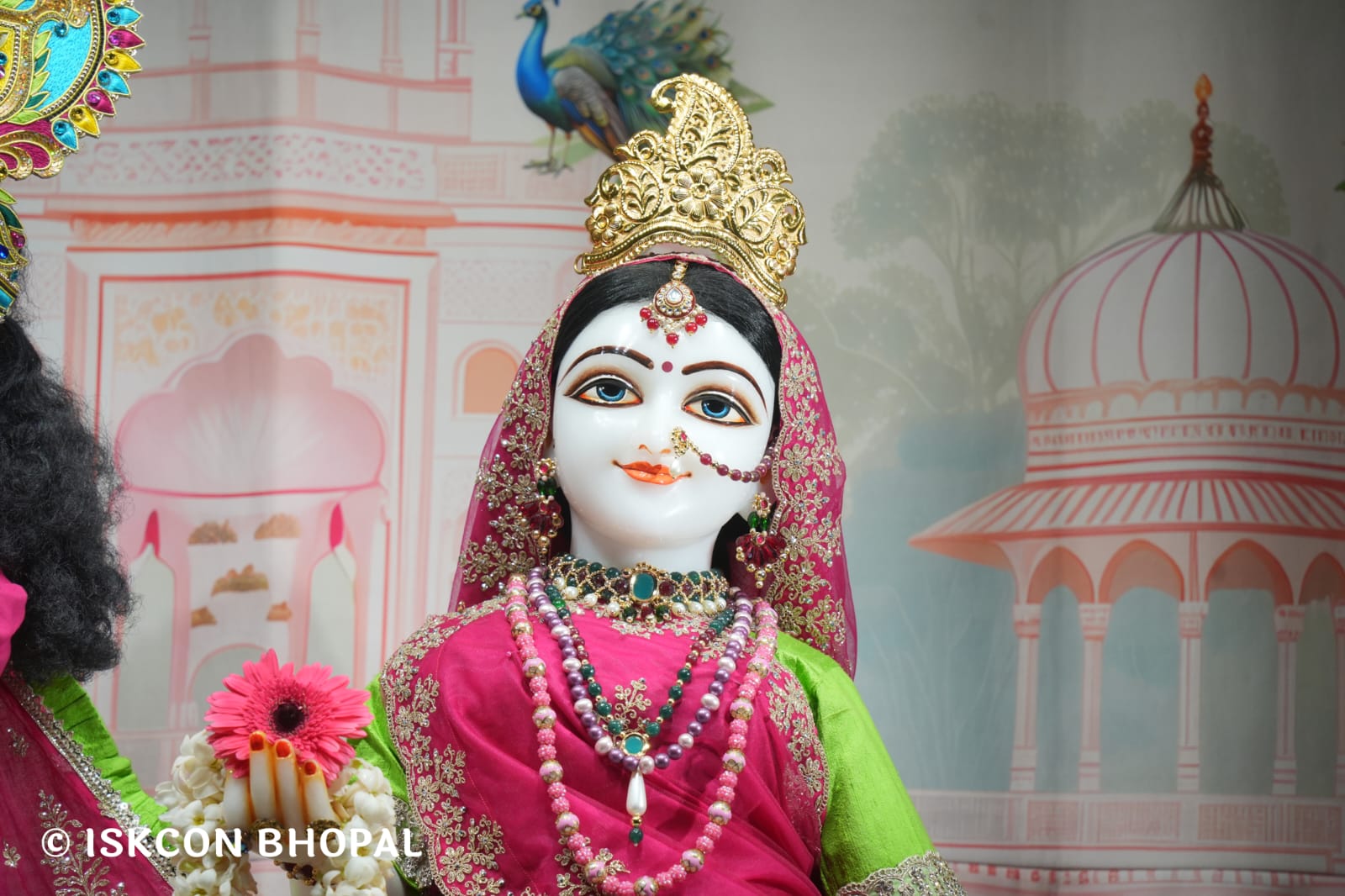 WhatsApp Image 2026-03-22 at 13.43.43 (1)