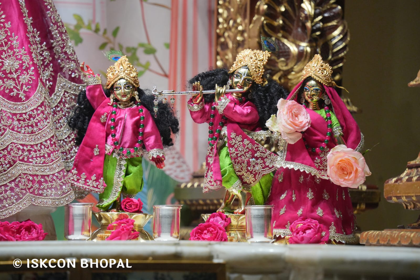 WhatsApp Image 2026-03-22 at 13.43.43