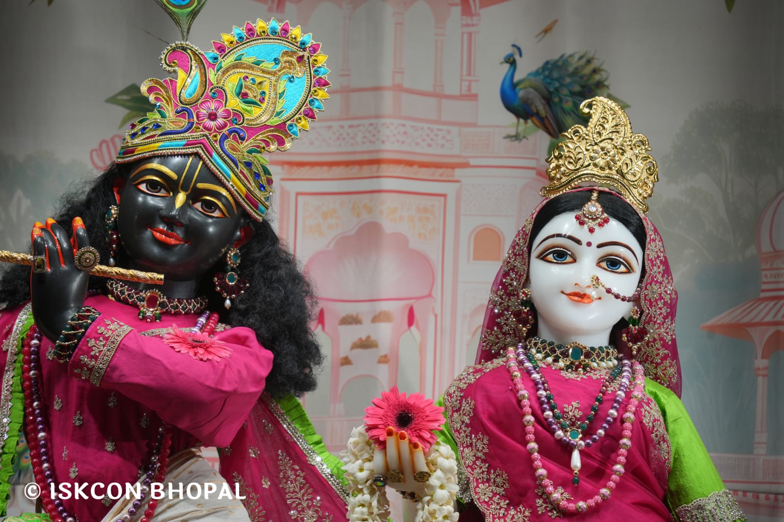 WhatsApp Image 2026-03-22 at 13.43.44 (1)