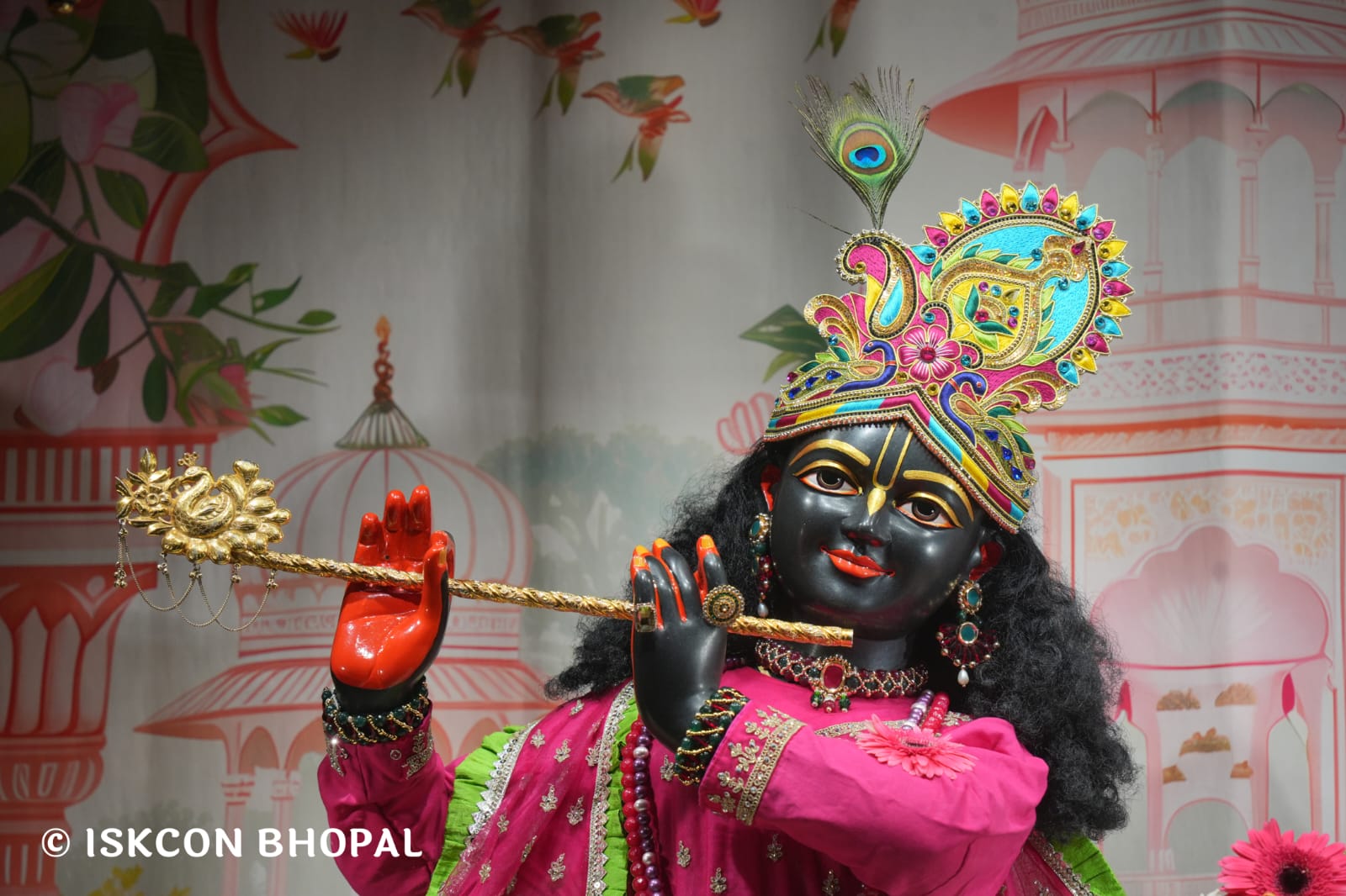 WhatsApp Image 2026-03-22 at 13.43.44