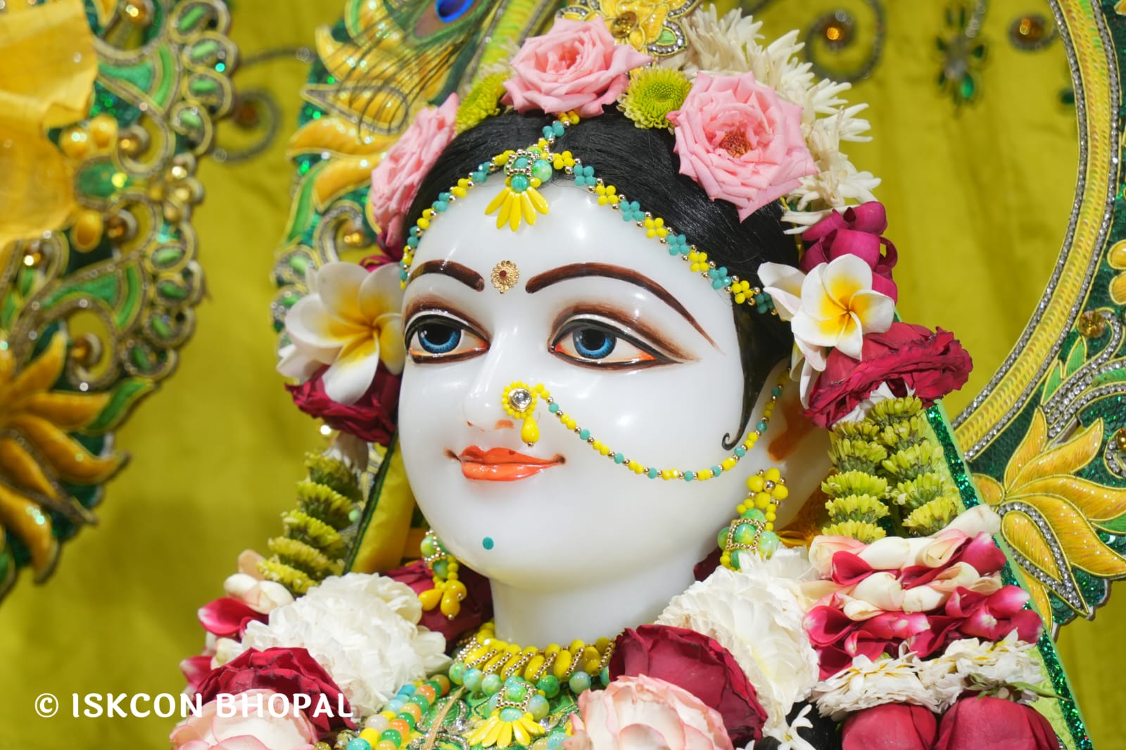 WhatsApp Image 2026-03-22 at 13.45.11 (1)