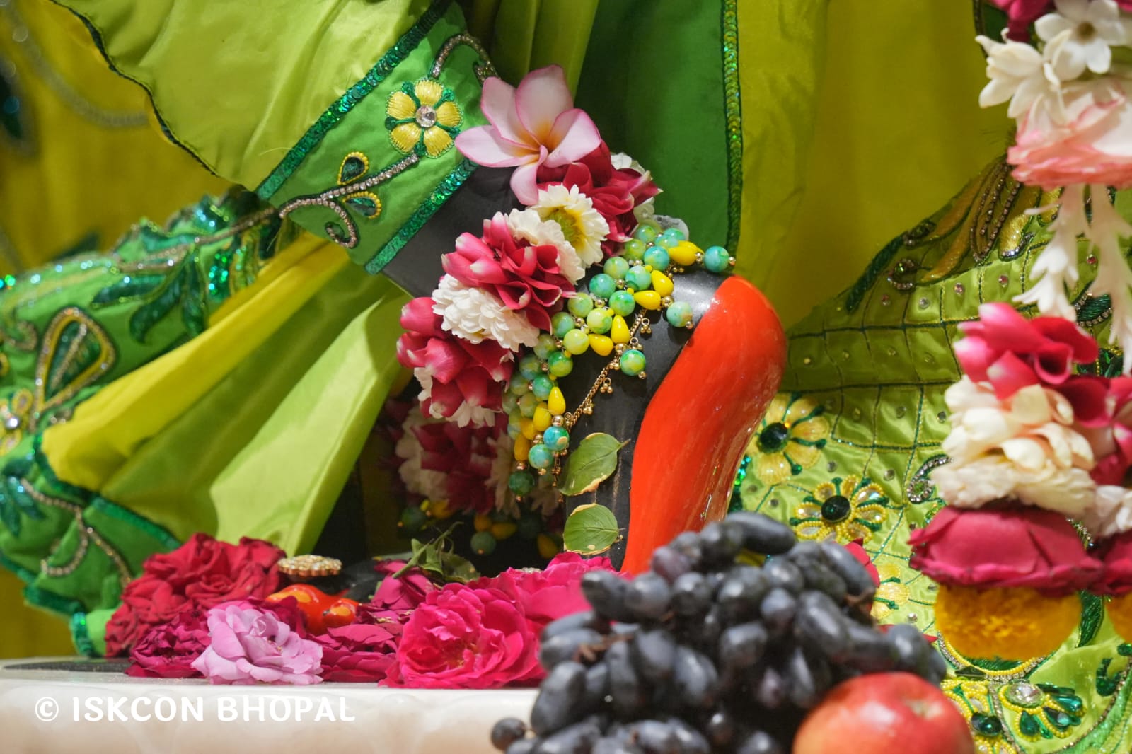 WhatsApp Image 2026-03-22 at 13.45.12