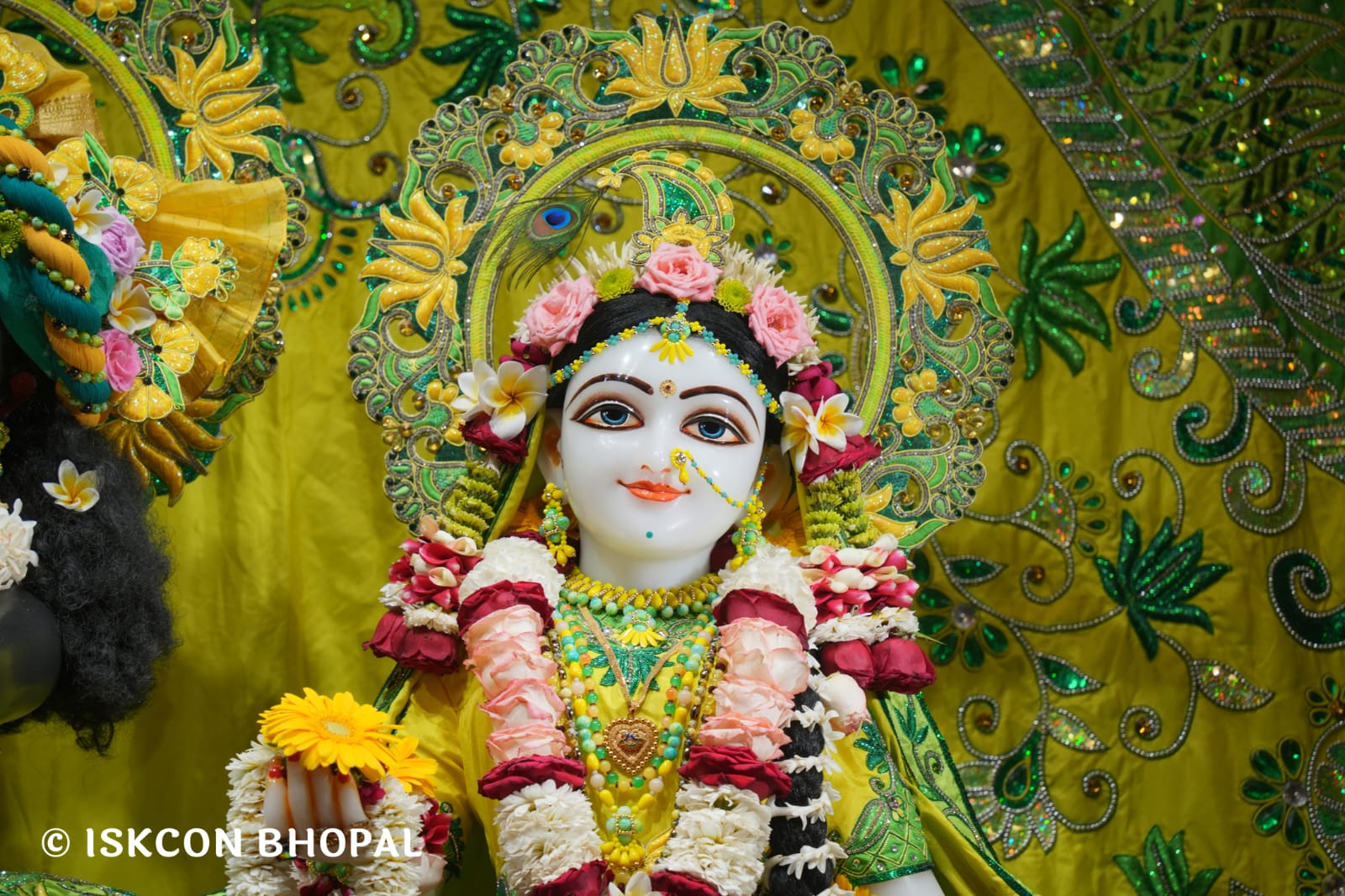 WhatsApp Image 2026-03-22 at 13.45.13