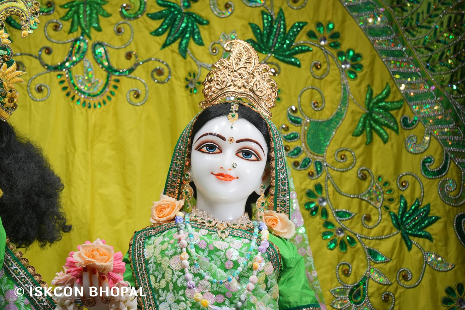 WhatsApp Image 2026-03-23 at 08.24.25