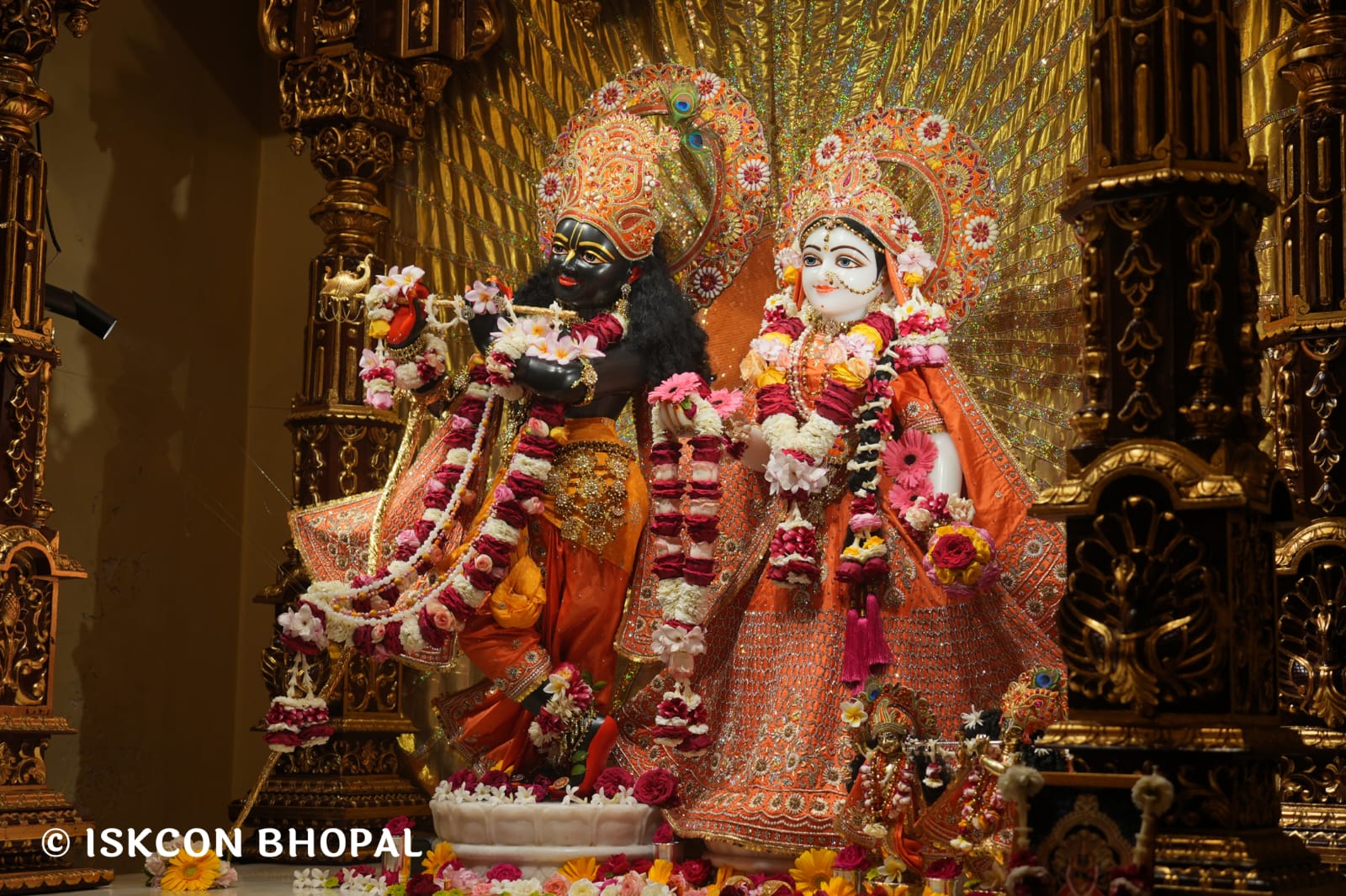 WhatsApp Image 2026-03-23 at 08.38.16